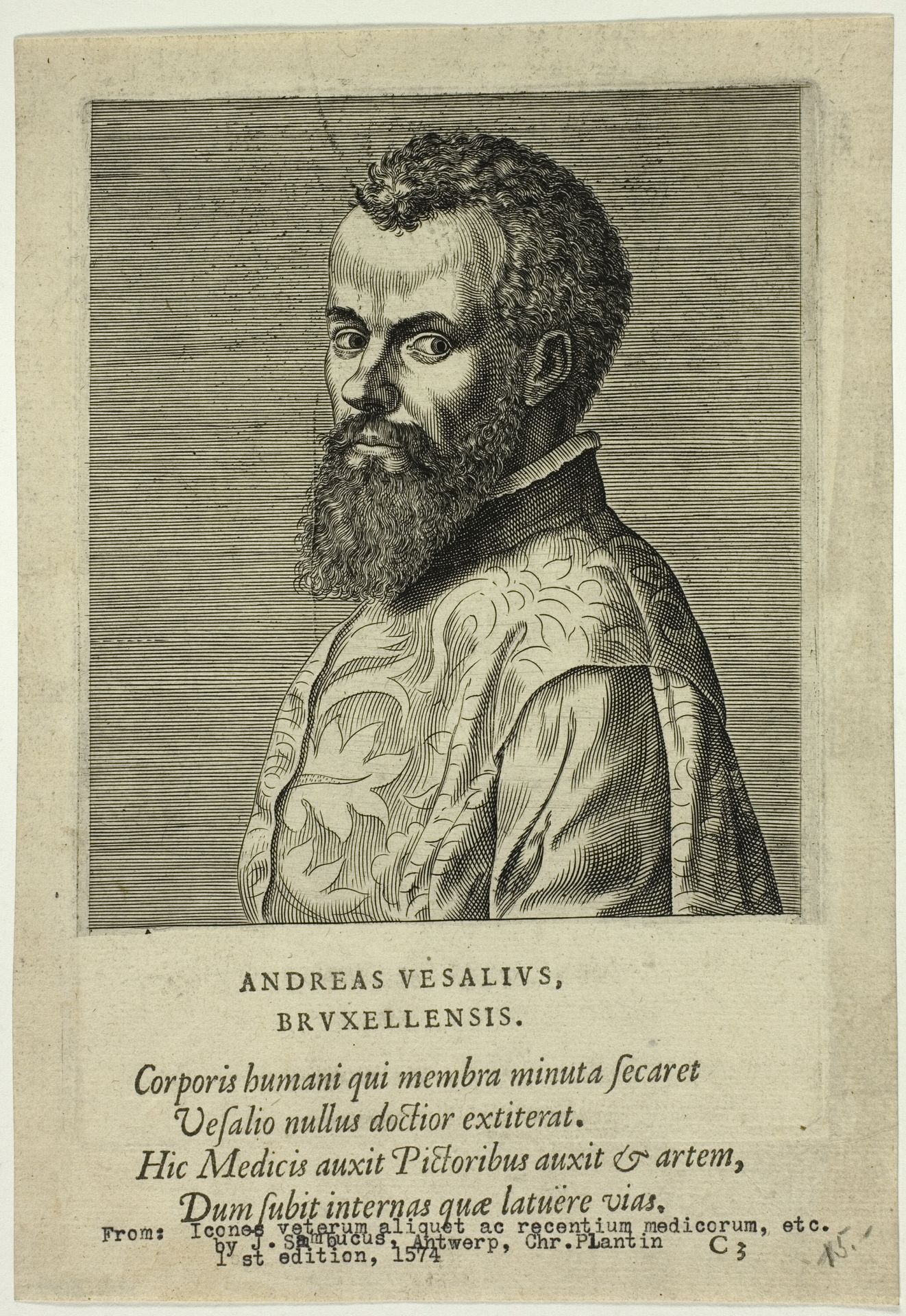 Portrait of Doctor Andreas Vesalius of Brussels by Johannes Sambucus