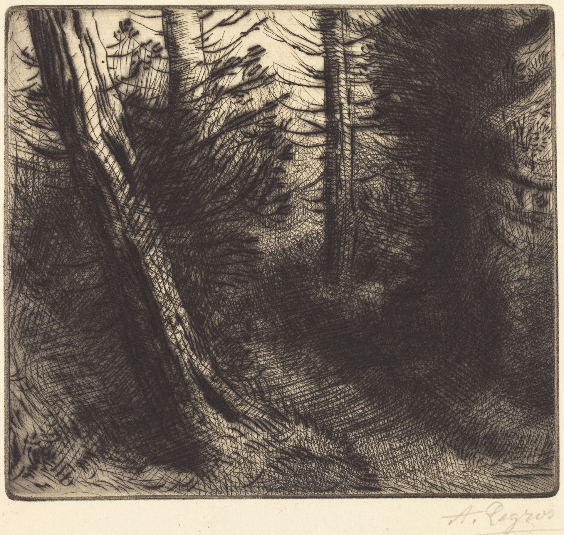 Path through the Woods (Sentier sous bois) by Alphonse Legros
