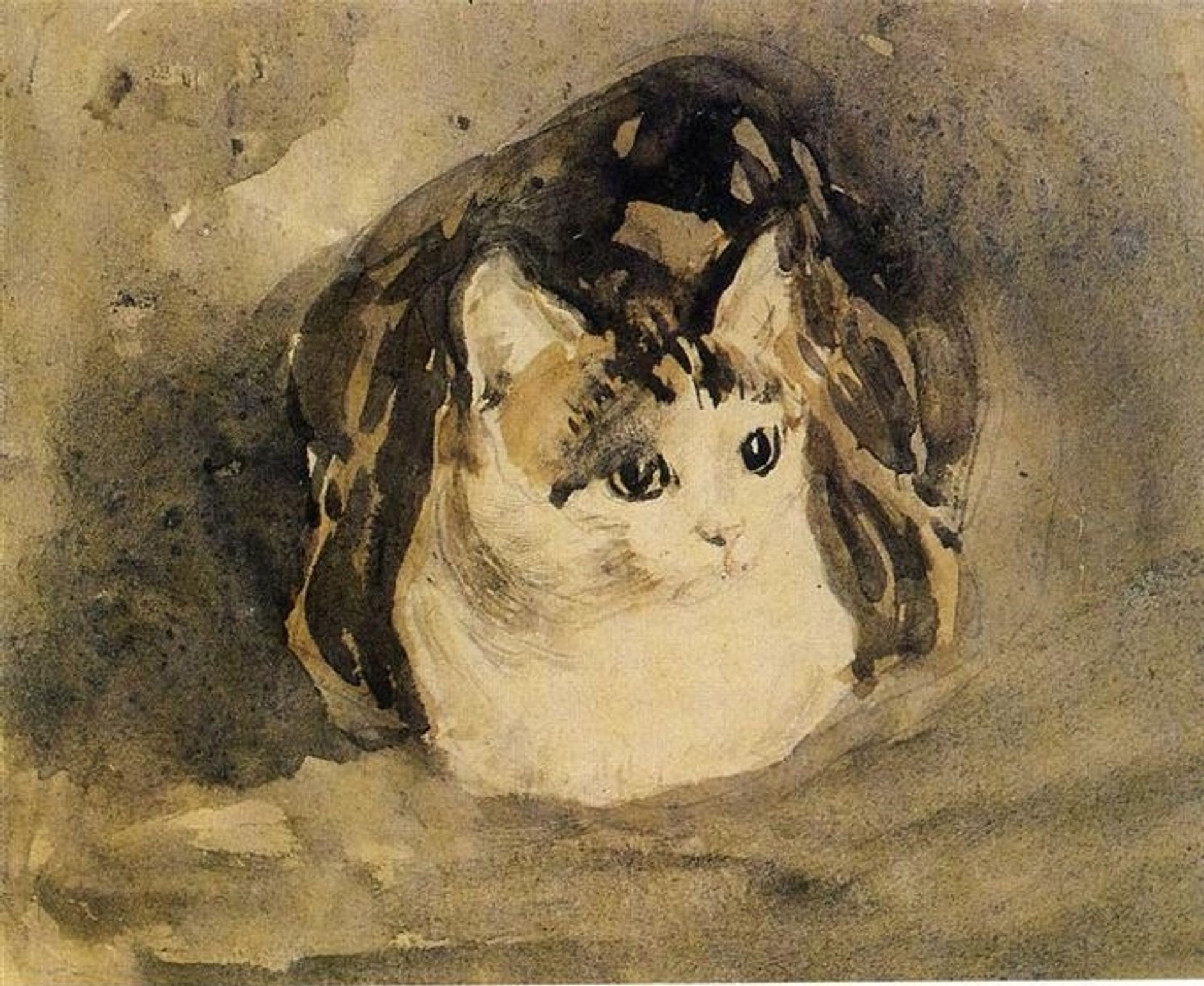 The Cat by Gwen John