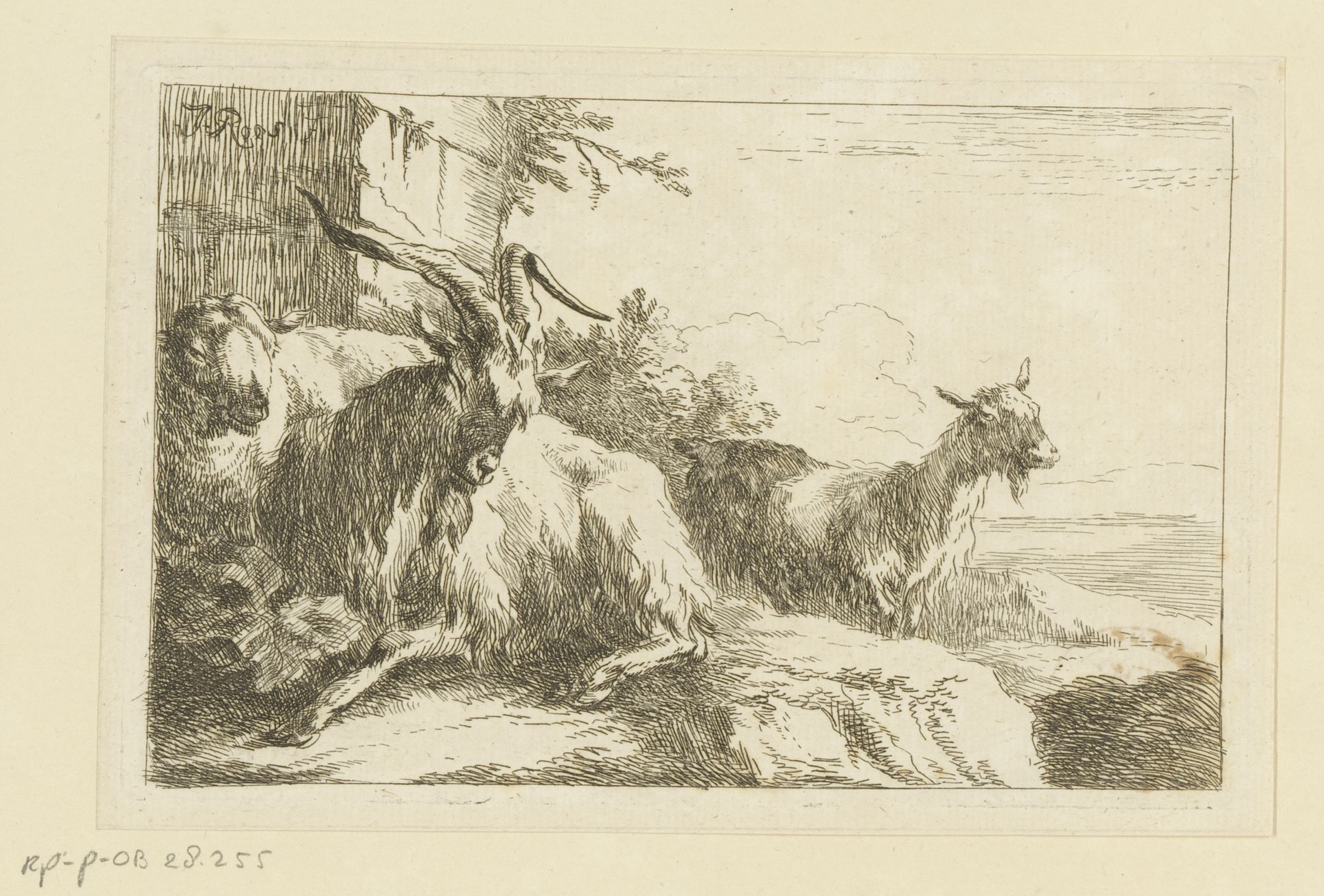 Twee geiten en een schaap by Joseph (I) Roos