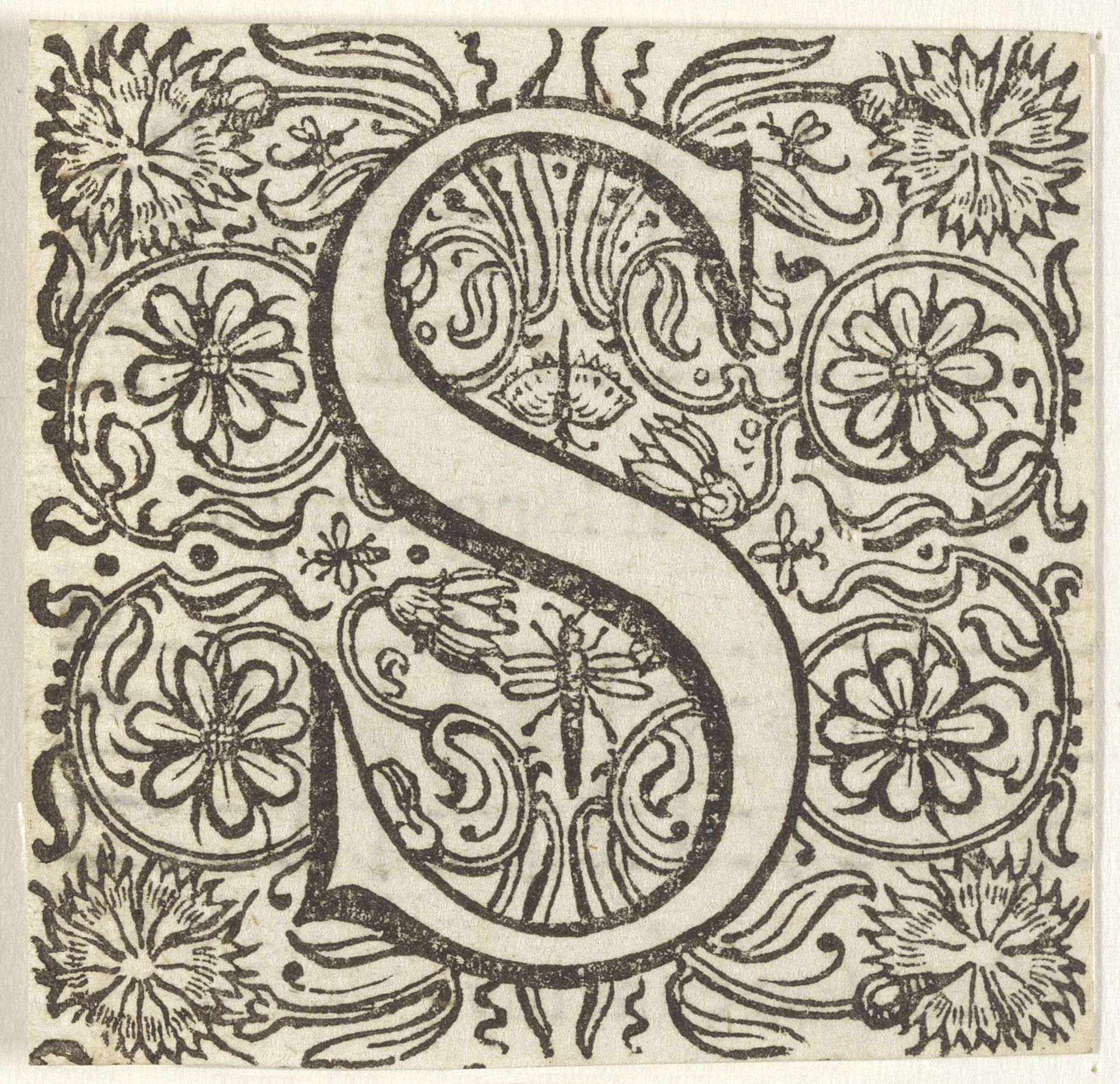 Letter S in een omlijsting met bloemen by Anonymous