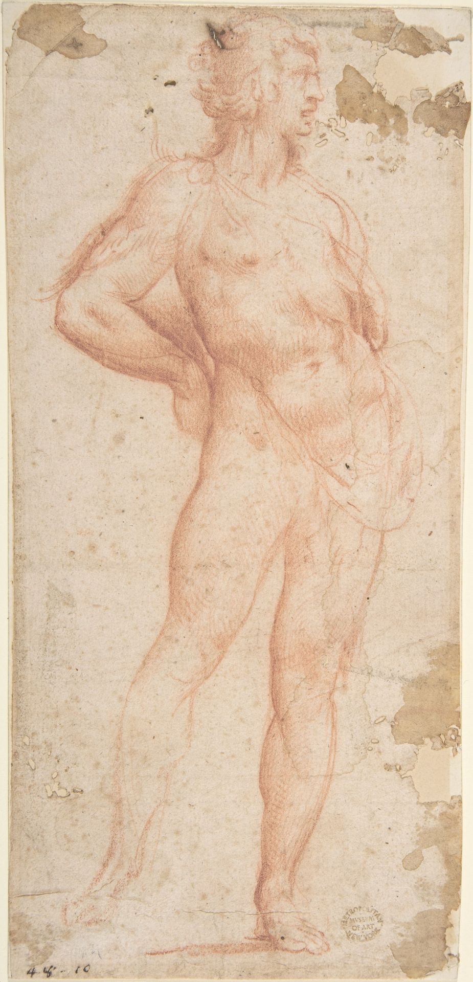 Standing Nude Man (Bacchus) by Bartholomeus Spranger