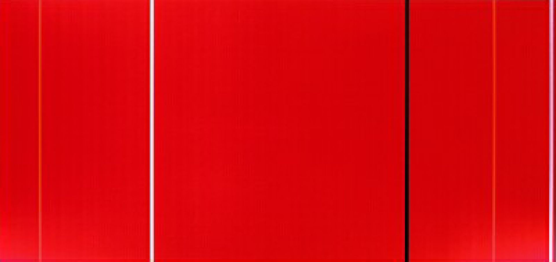 Vir Heroicus Sublimis by Barnett Newman