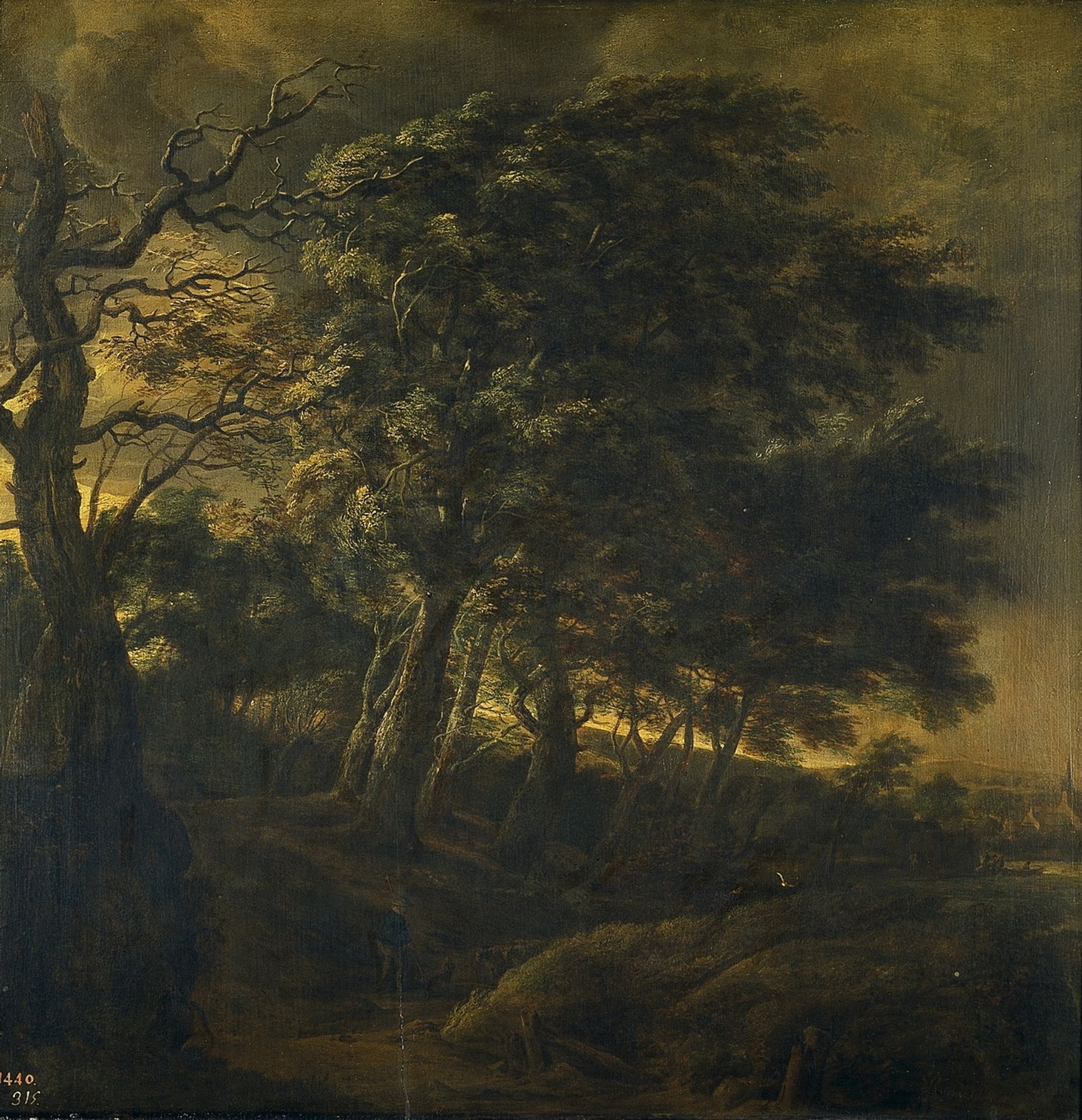 Forest by Simon de Vlieger