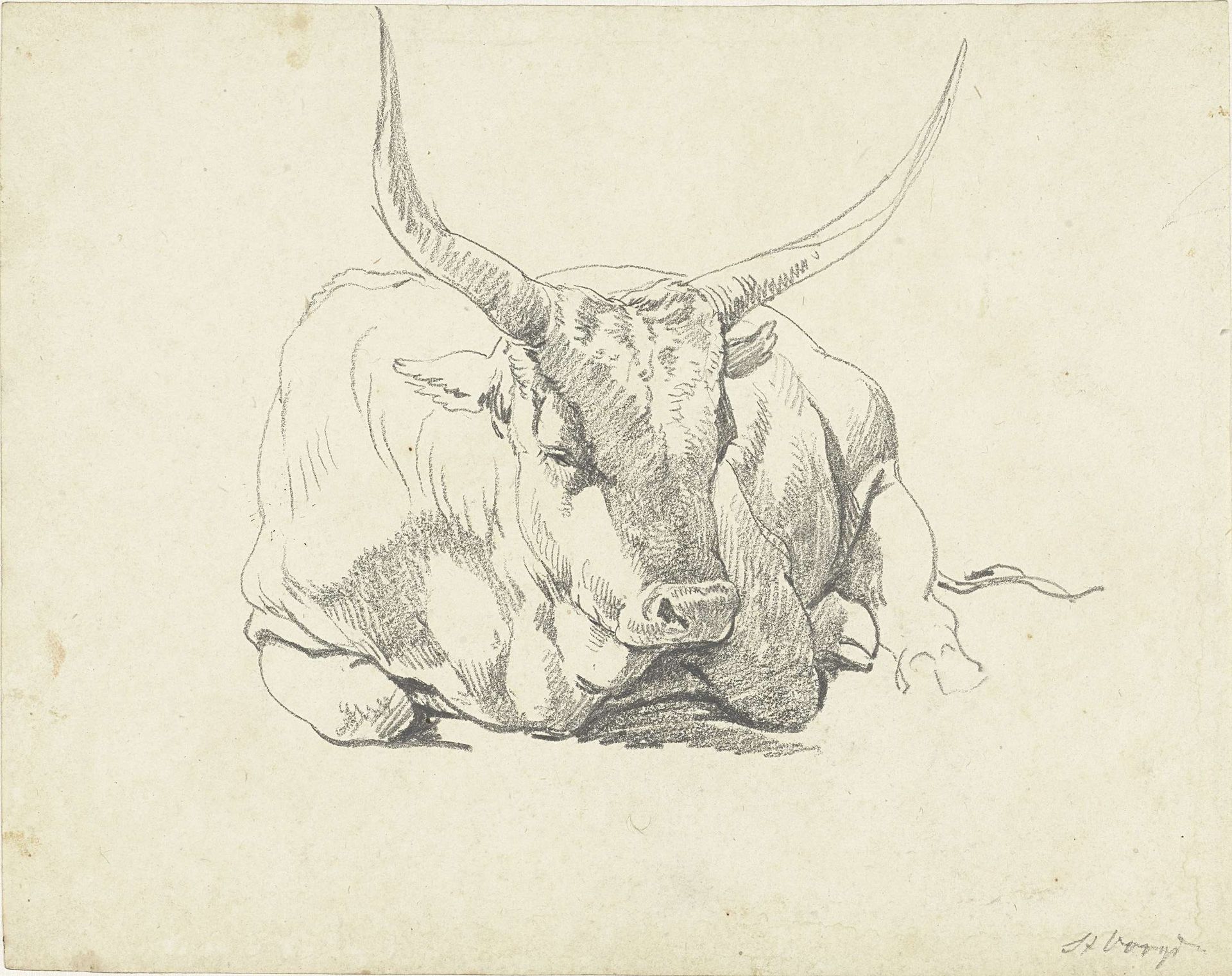 Liggende koe met lange horens by Hendrik Voogd