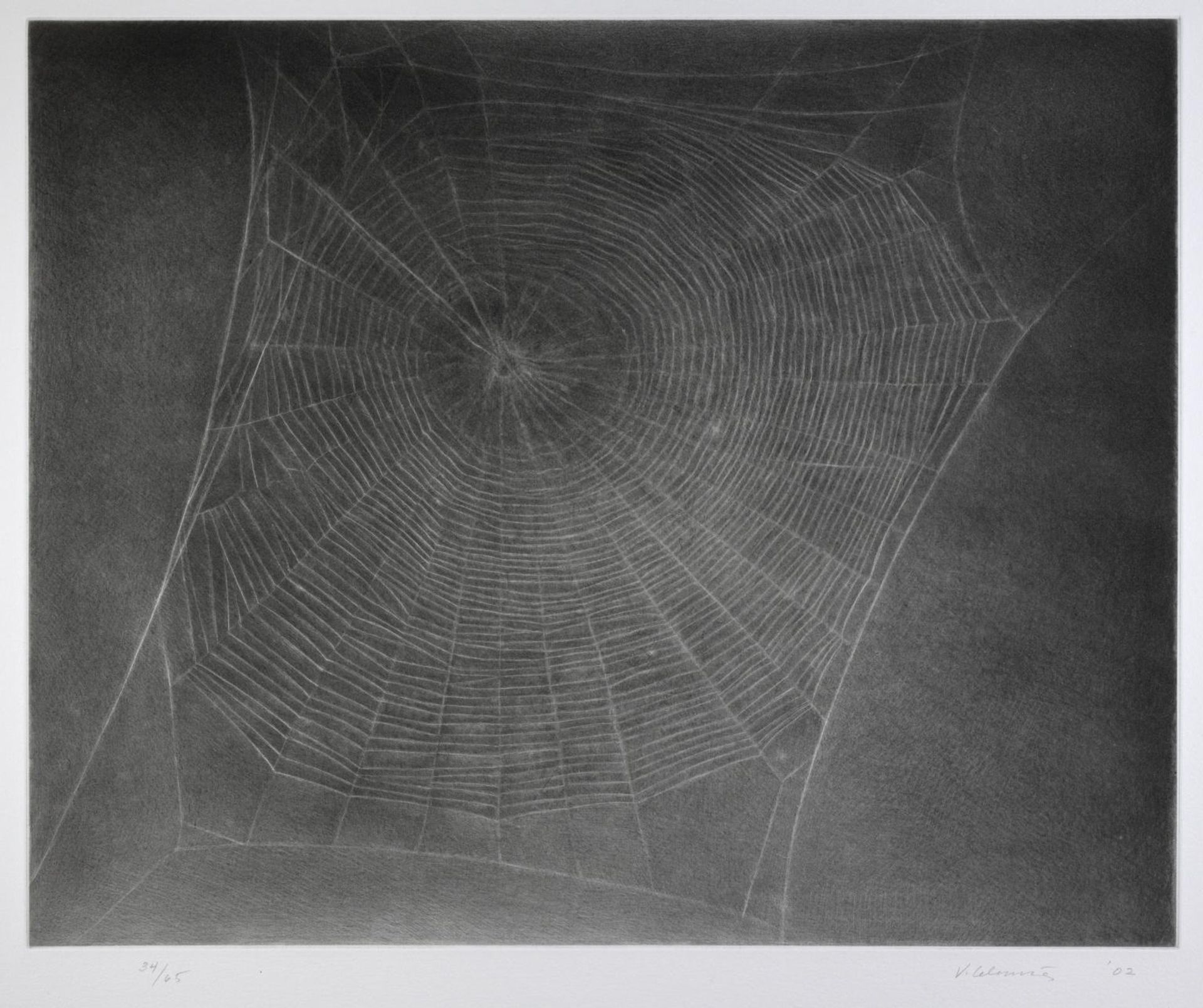Untitled (Web 4) by Vija Celmins