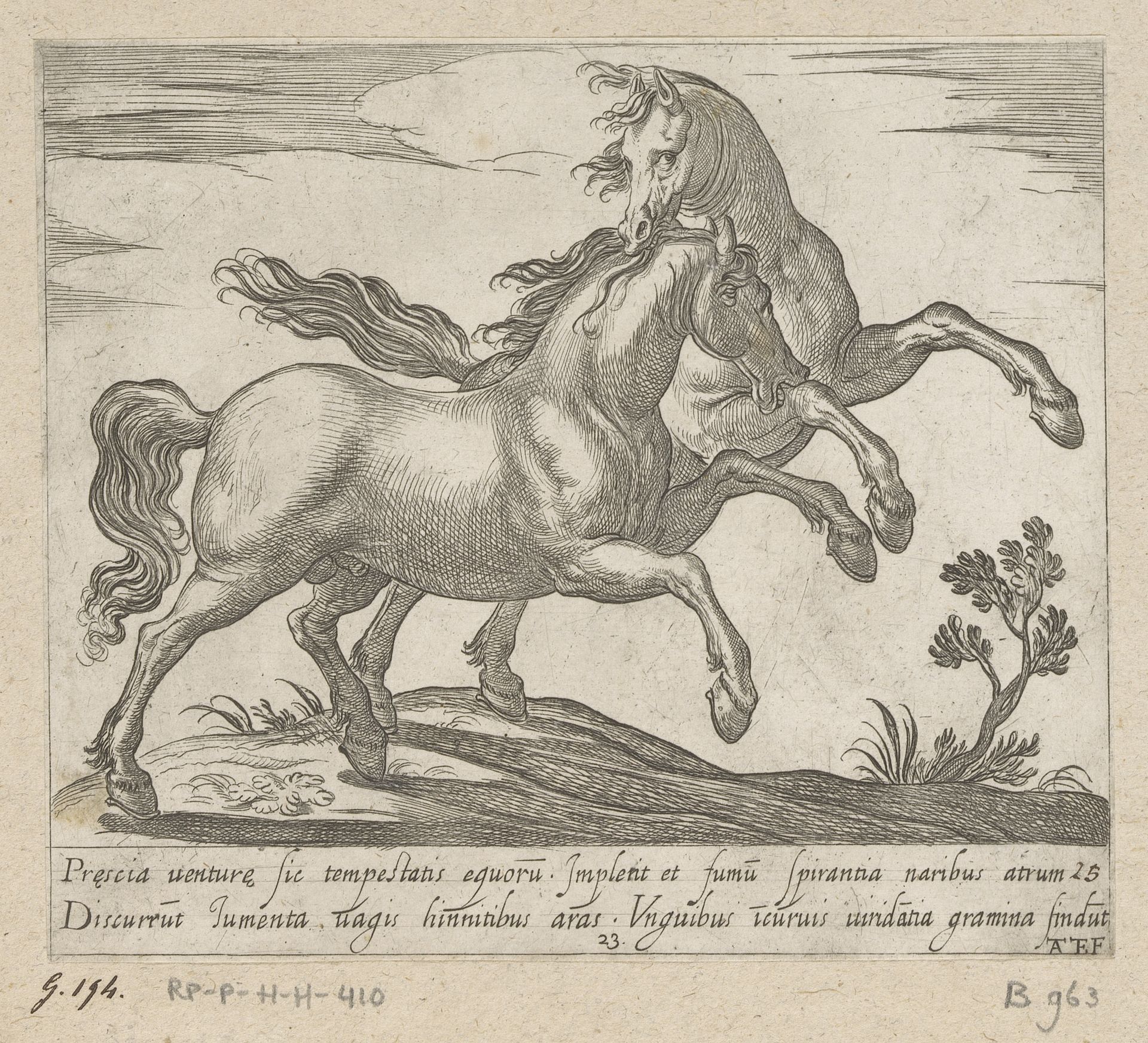 Twee vechtende paarden naar rechts rennend by Antonio Tempesta