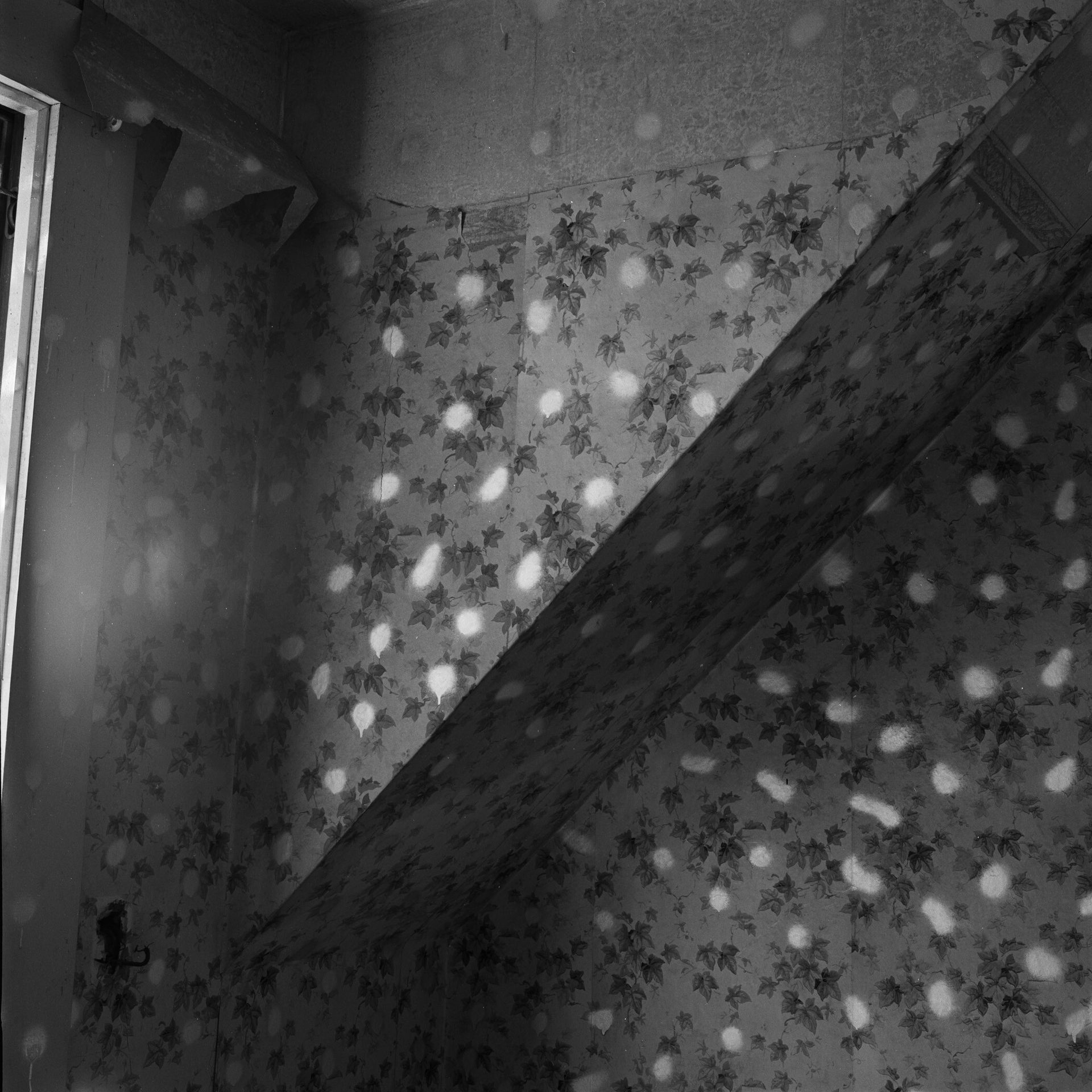 75V08 by John Divola