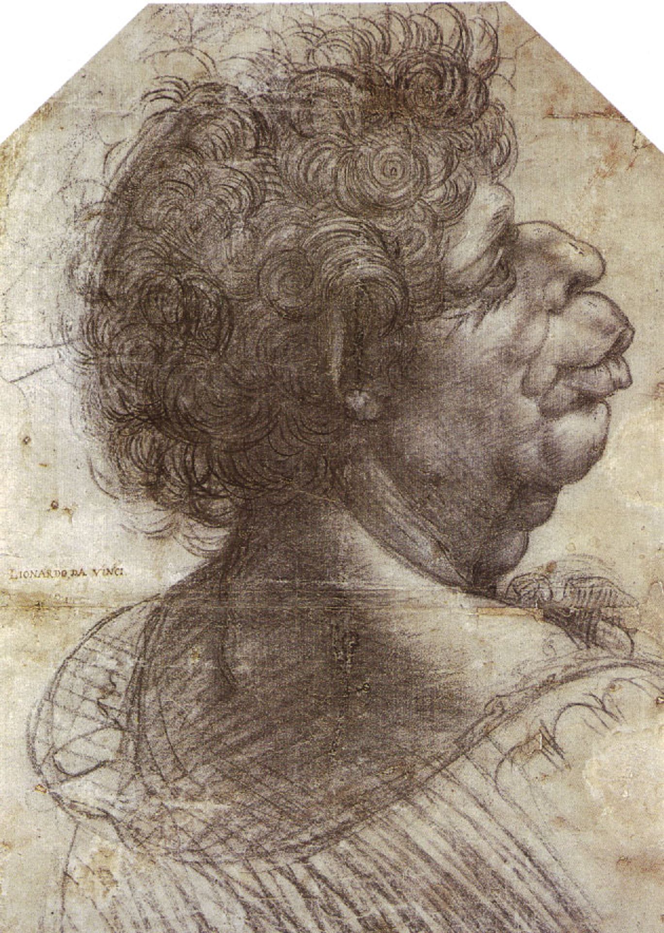 A Grotesque Head by Leonardo da Vinci