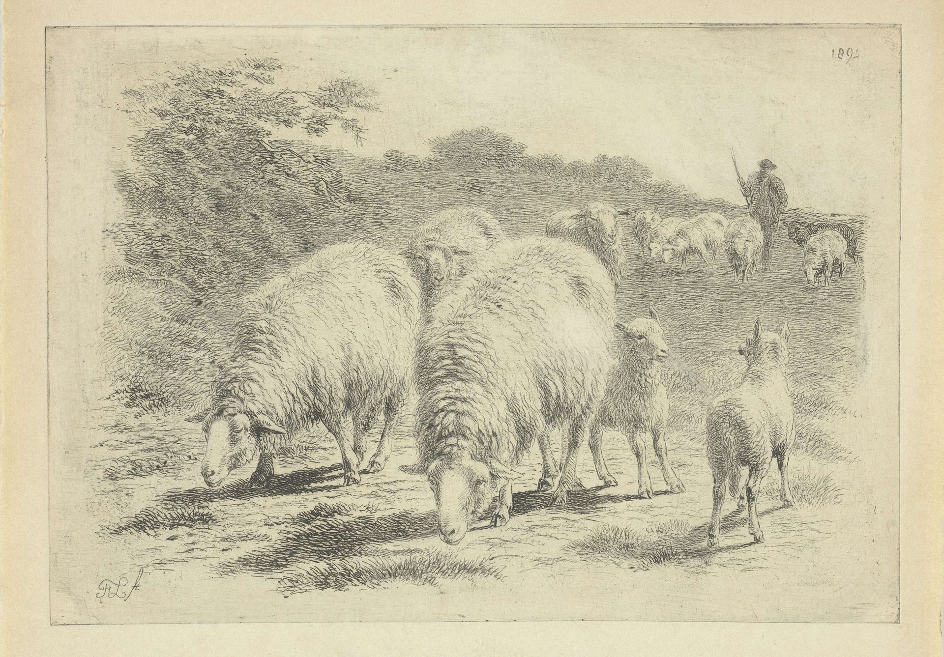 Schapen en lammeren in de wei by Frans Lebret