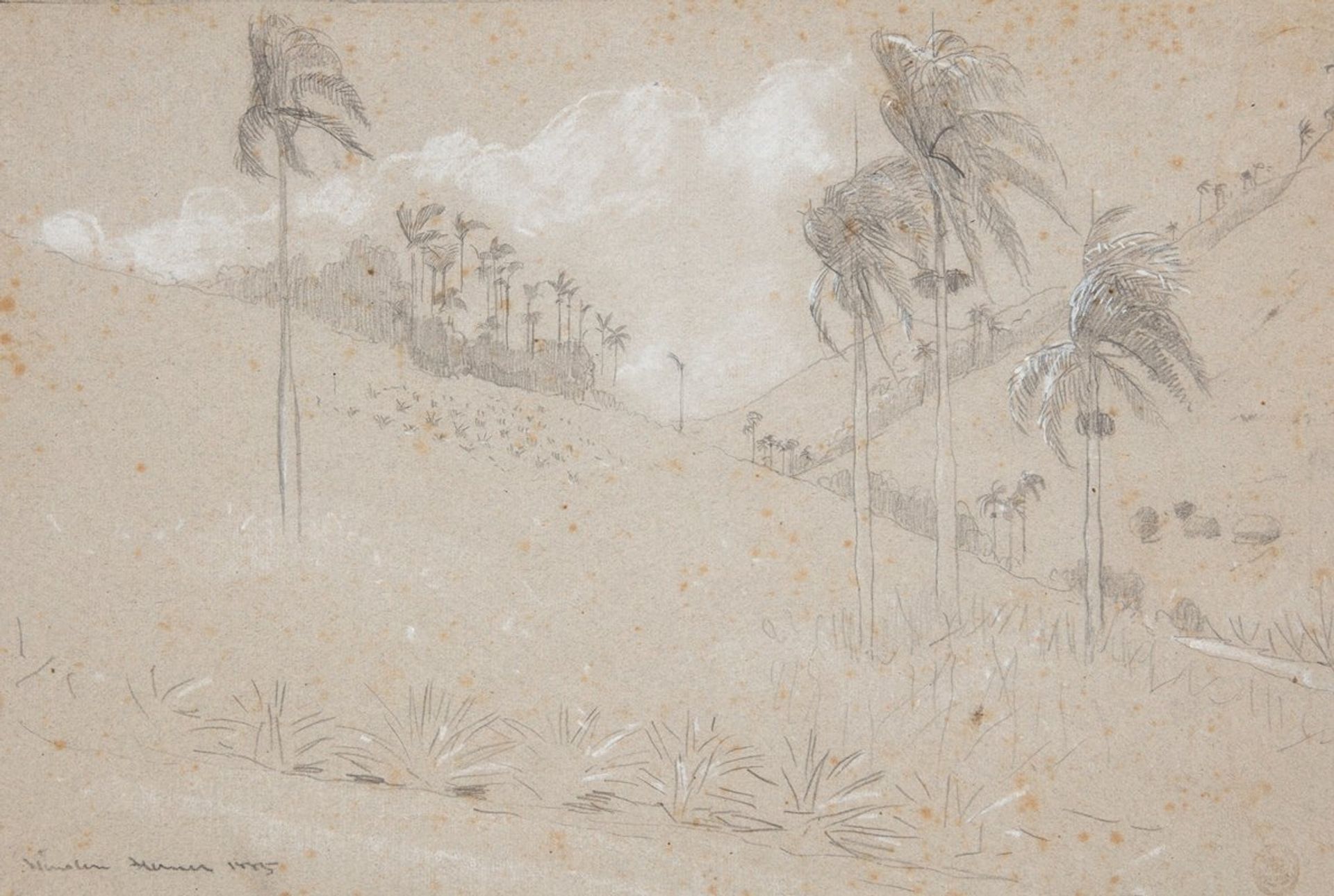 Cuban Hillside by Winslow Homer