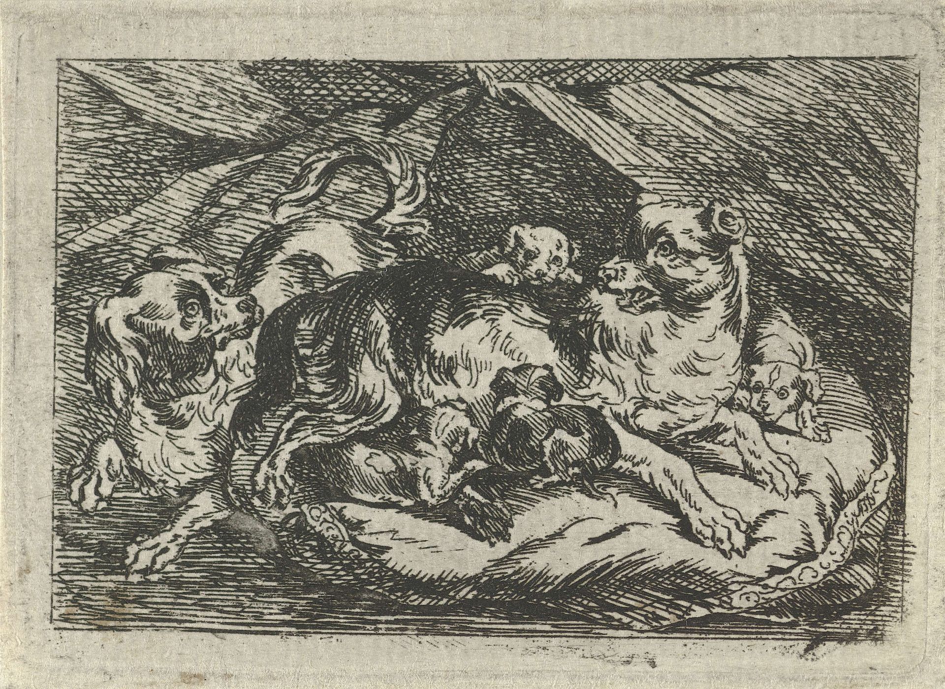 Nest met jonge hondjes by Tethart Philip Christian Haag