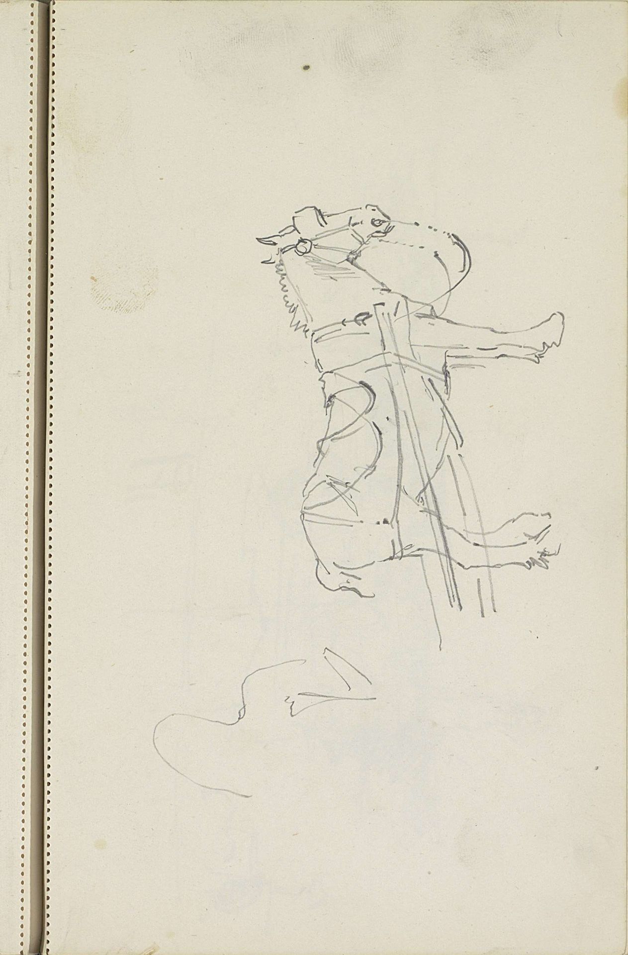 Paard uitgerust met hoofdstel en tuig by Cornelis Vreedenburgh