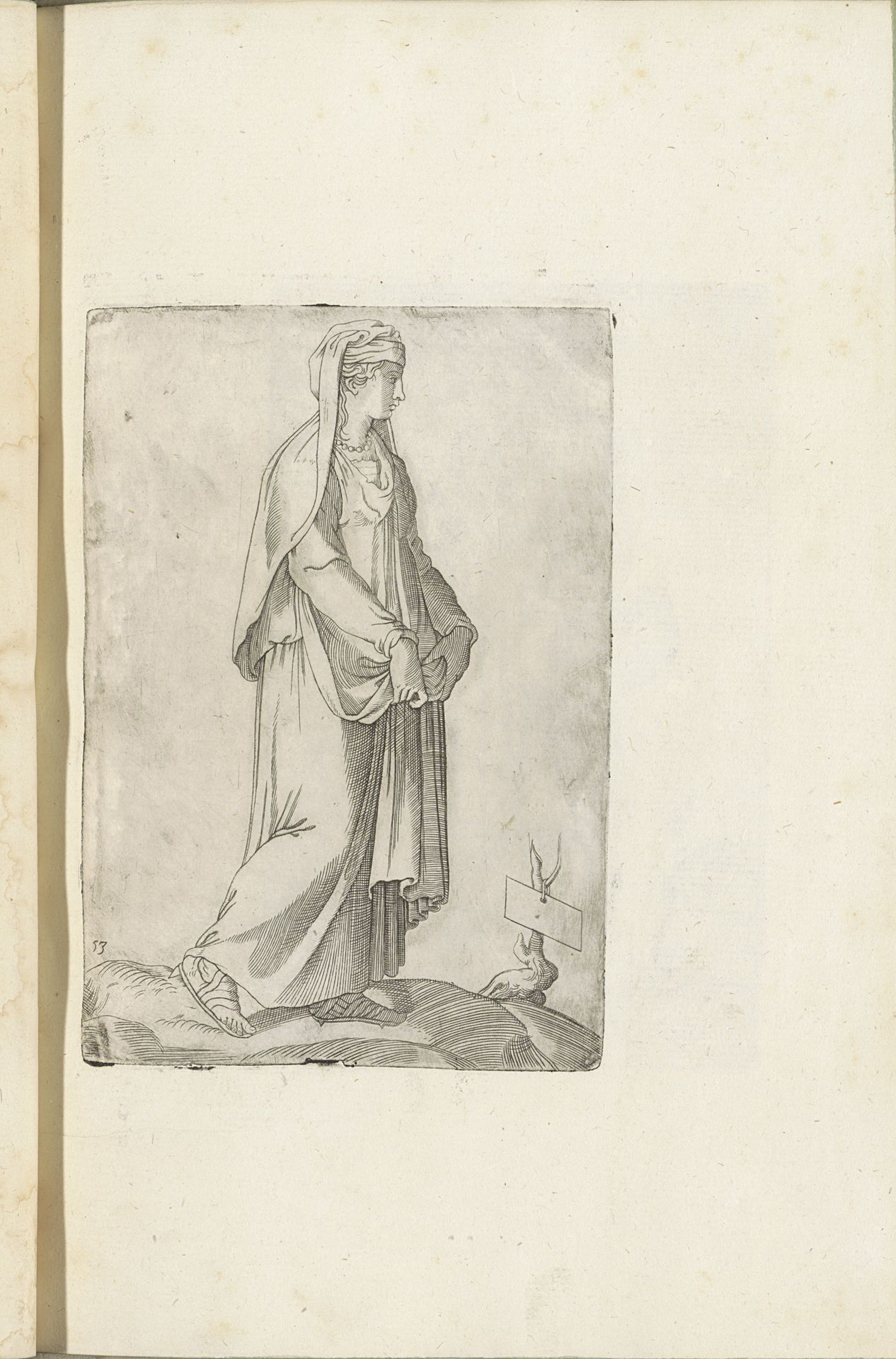 vrouw by Ferando Bertelli