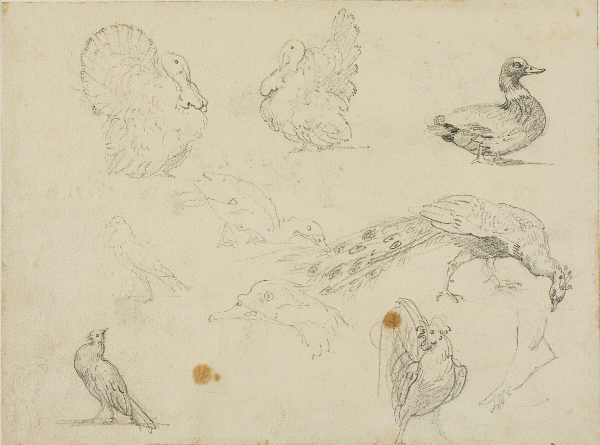 Sketches of Fowl by Théodore Géricault