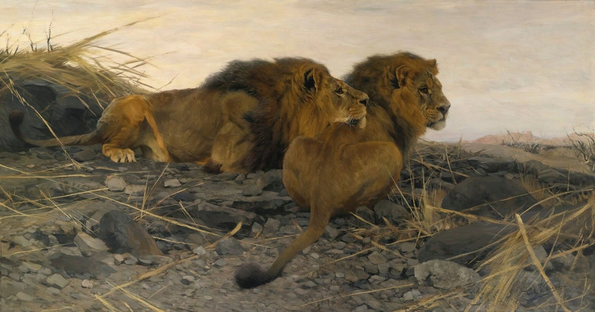 Lions At Watch by Wilhelm Kuhnert