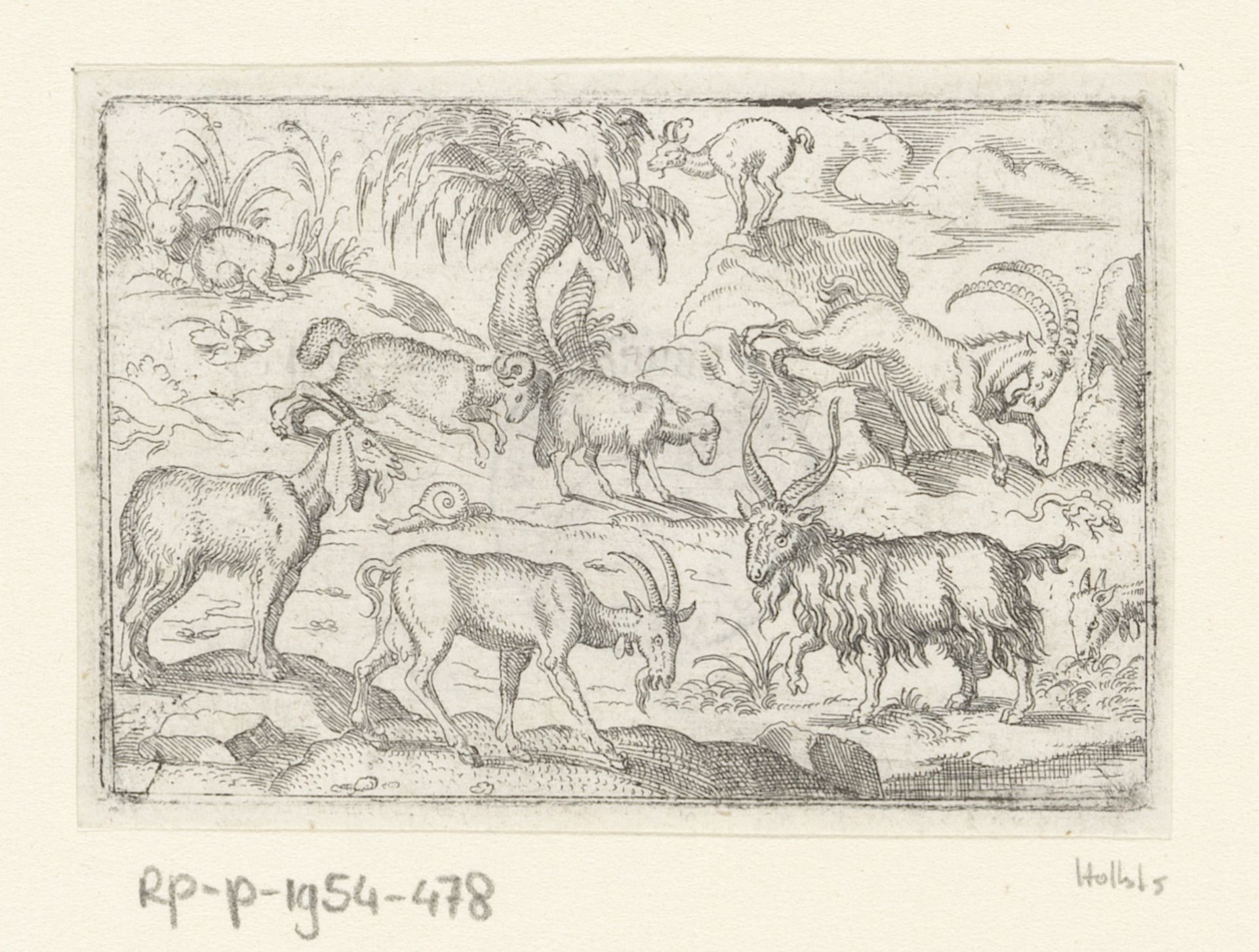 Vier geiten, een ram, een schaap, een gems, een steenbok, twee konijnen een hagedis en een slak by Stephan Herman