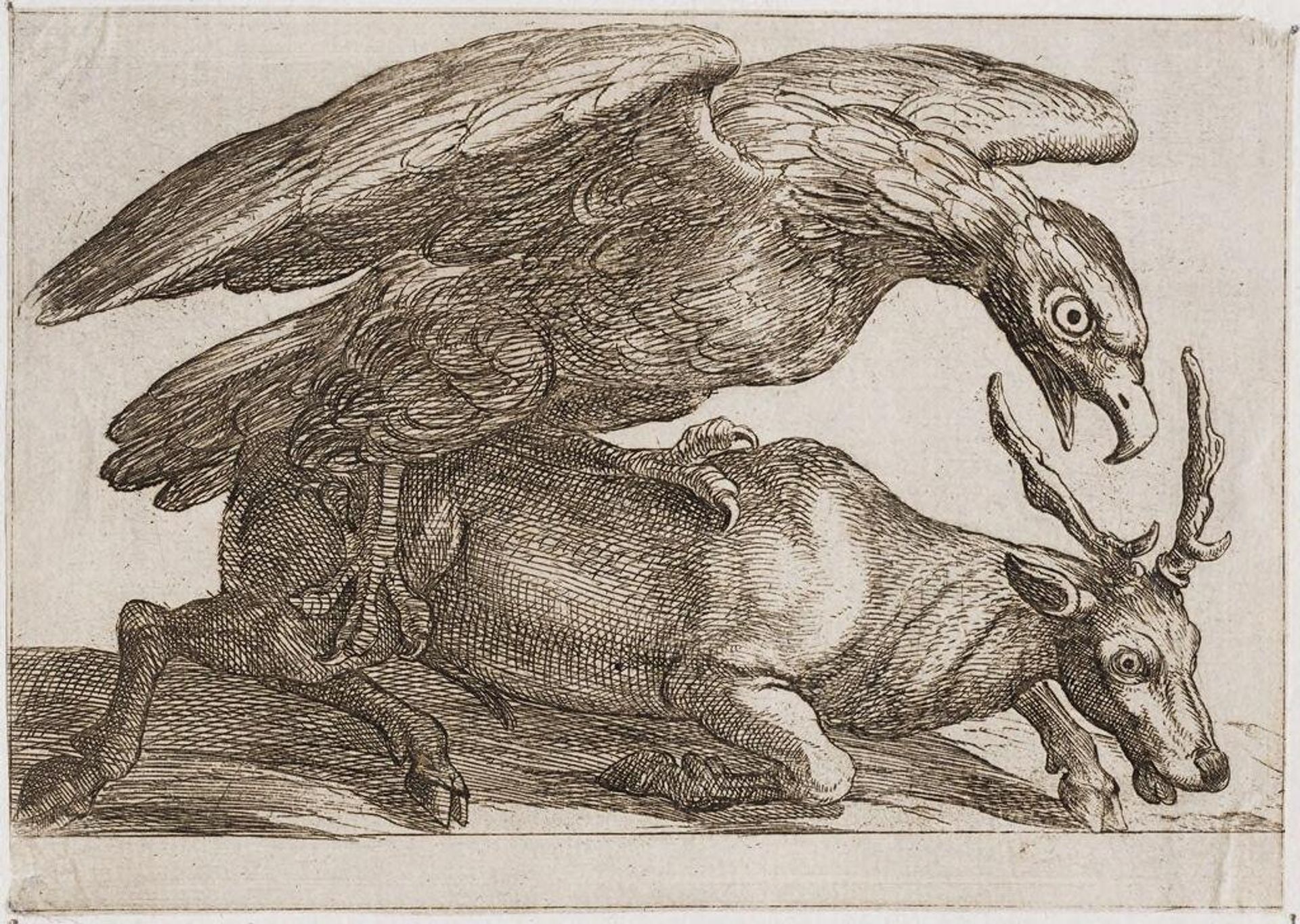 A Large Bird Attacking a Stag by Antonio Tempesta