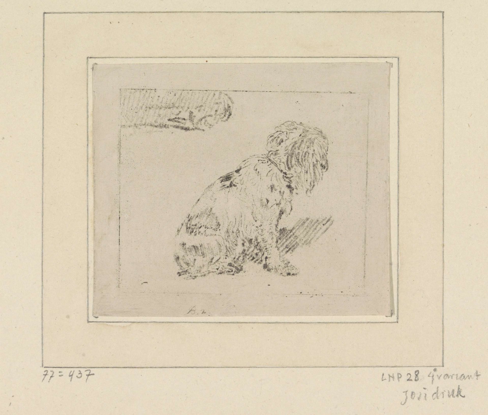 Zittende hond by Cornelis Brouwer