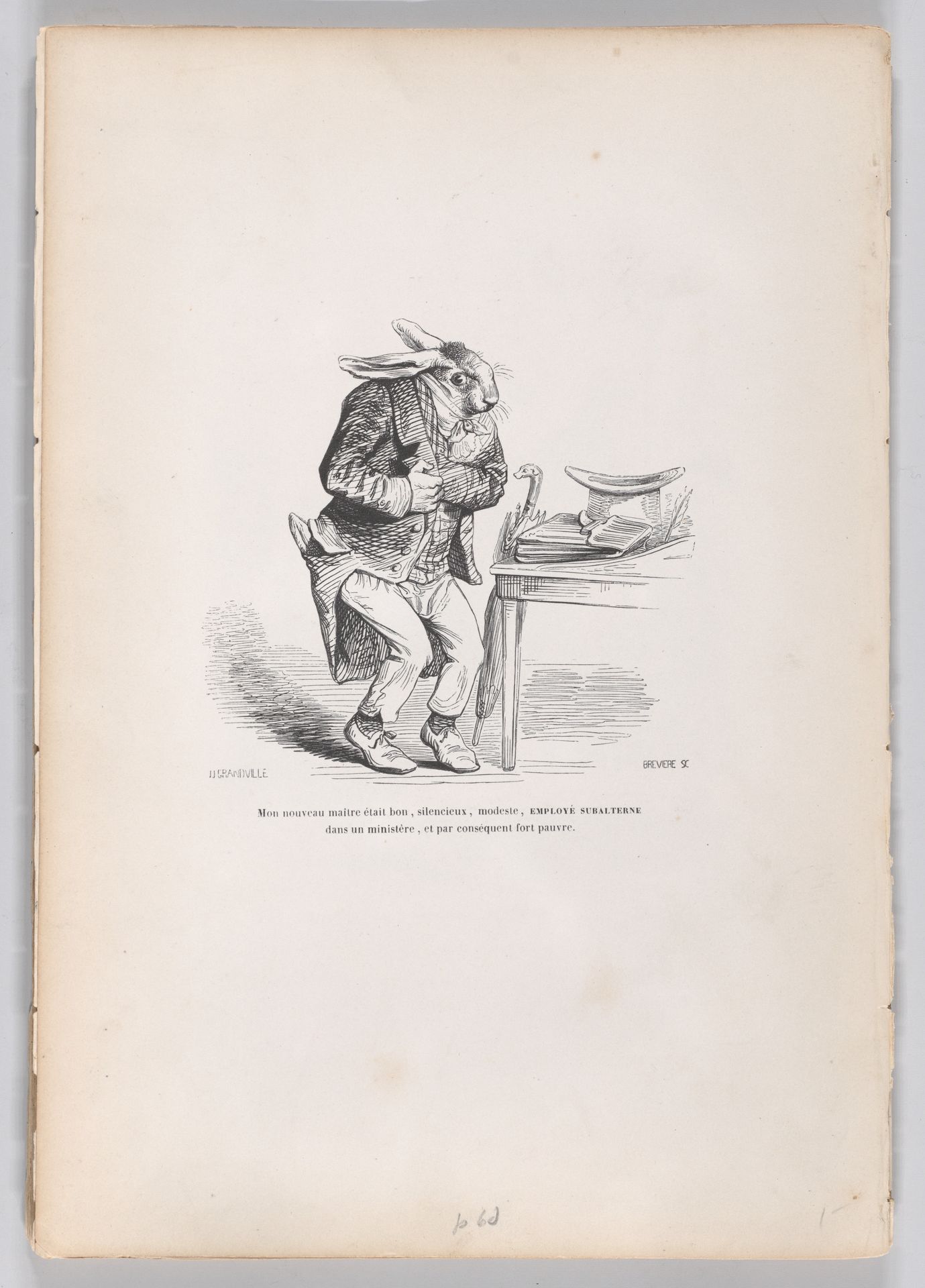 "My new master" from Scenes from the Private and Public Life of Animals by J. J. Grandville