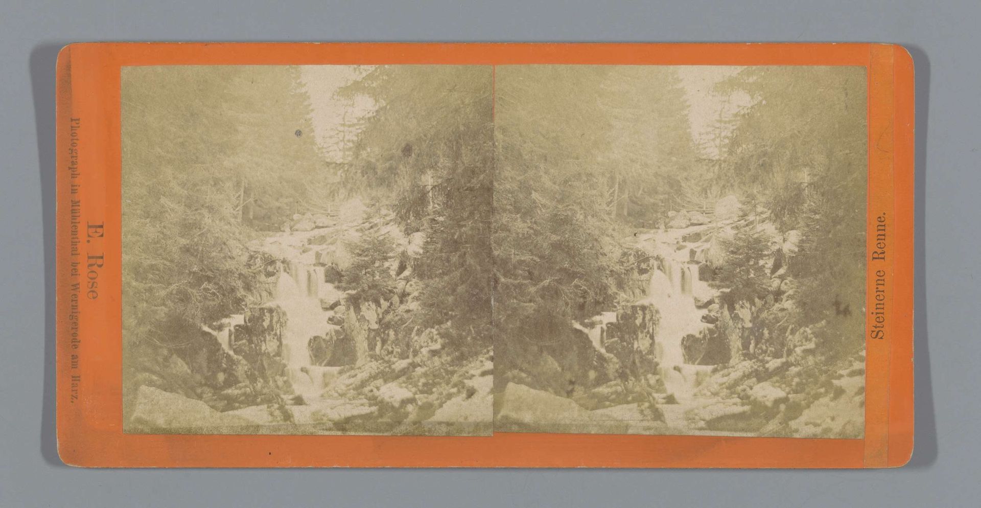 Steinerne Renne nabij Wernigerode by E. Rose