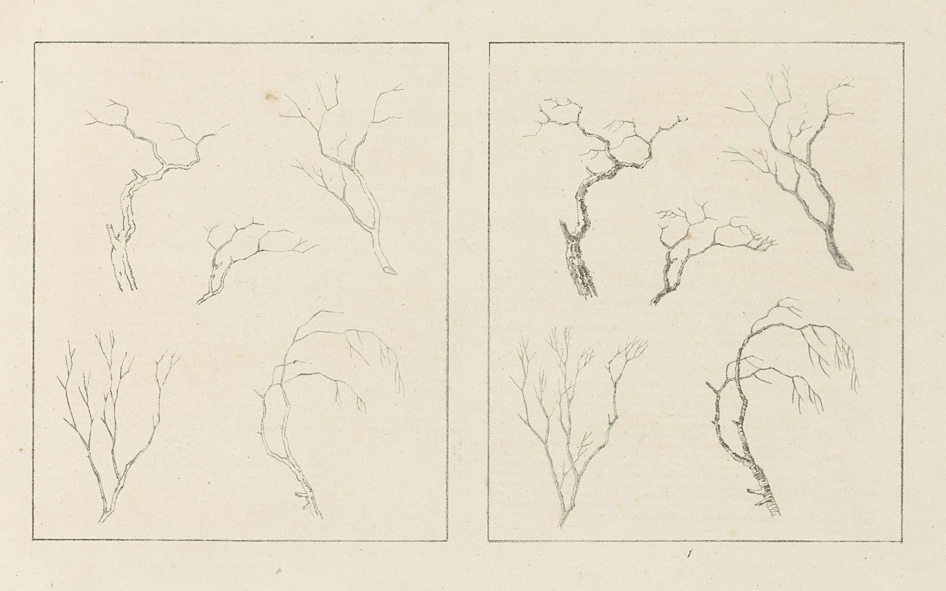 Albumblad met twee voorstellingen van kale boomtakken; links het ontwerp, rechts de uitvoering by Max Josef Wagenbauer
