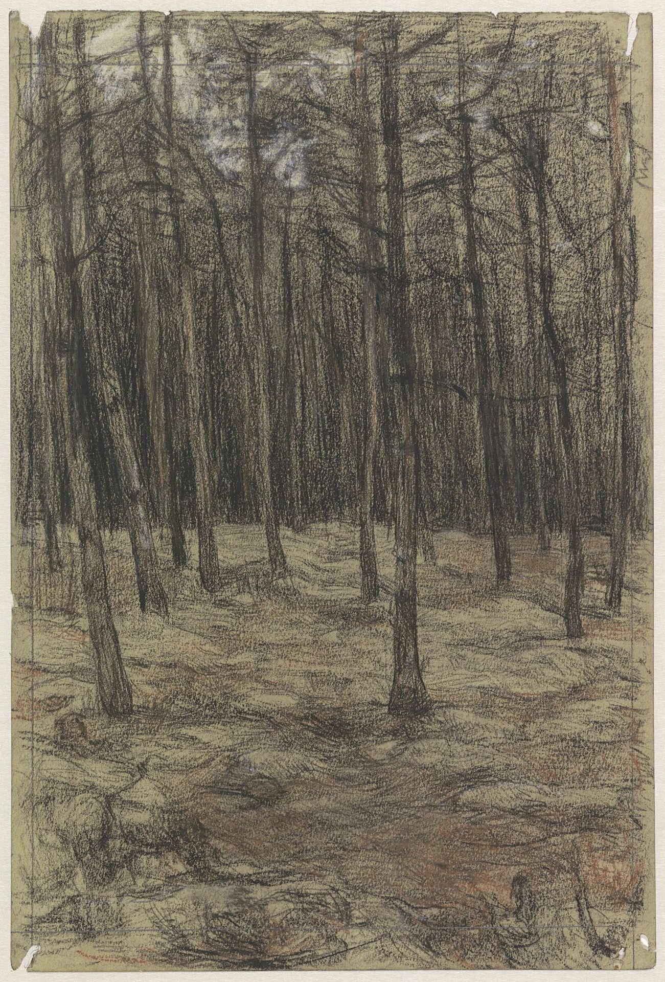 Boslandschap by Jan Veth
