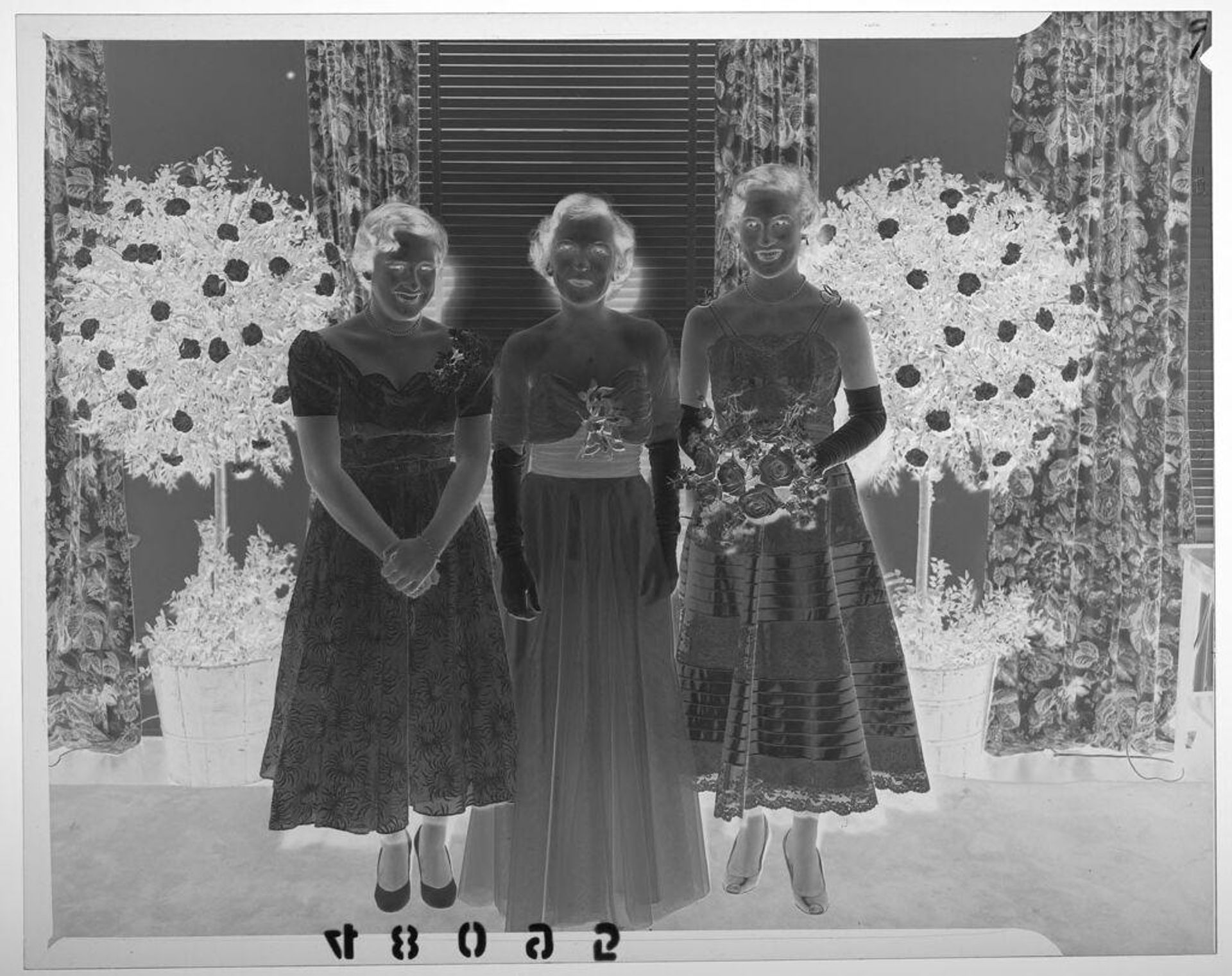 Untitled (three women in formal dresses posed between trees blooming white flowers) by Martin Schweig