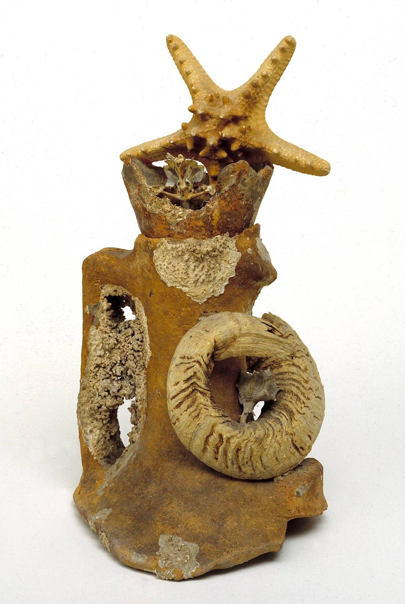 Marine Object by Eileen Agar