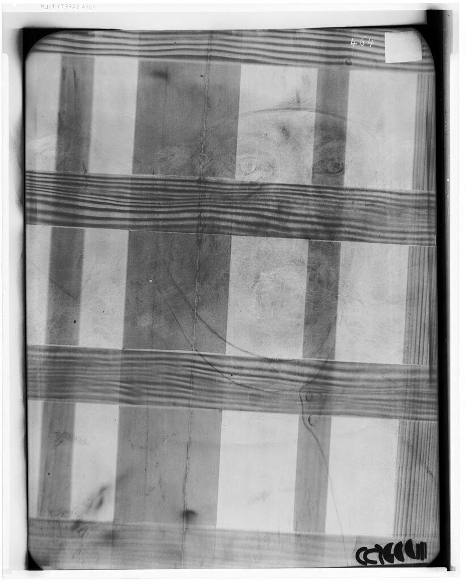 X-radiograph(s) of "Cardinal Albrecht" by Artist of original: Lucas Cranach the Elder