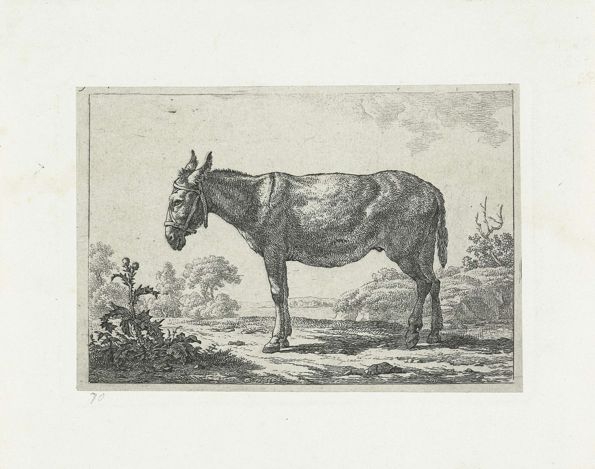 Staande ezel bij distel by Frédéric Théodore Faber