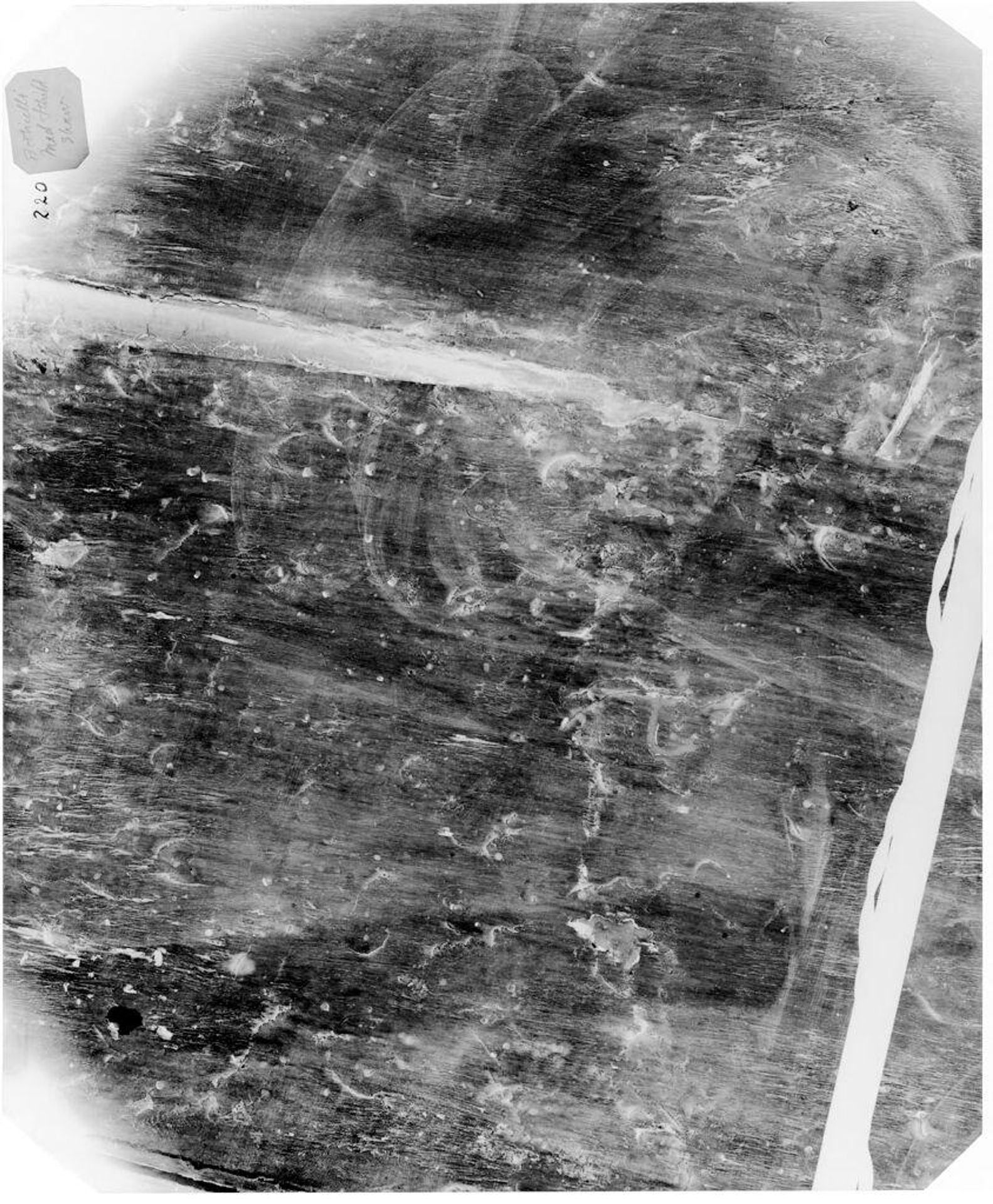 X-radiograph(s) of "Madonna and Child" by Artist of original: School of Sandro Botticelli (Alessandro Filipepi)