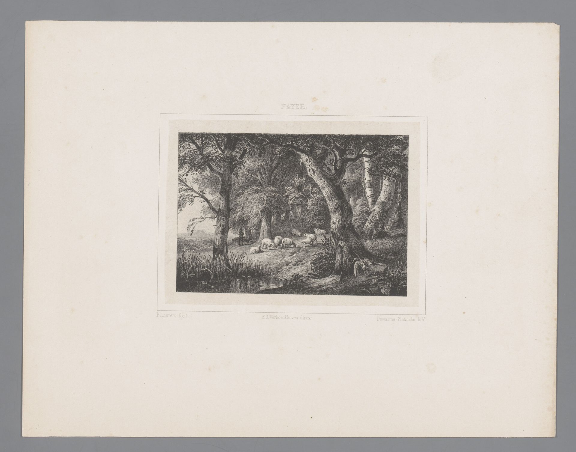 Bosgezicht met kudde schapen by Paulus Lauters