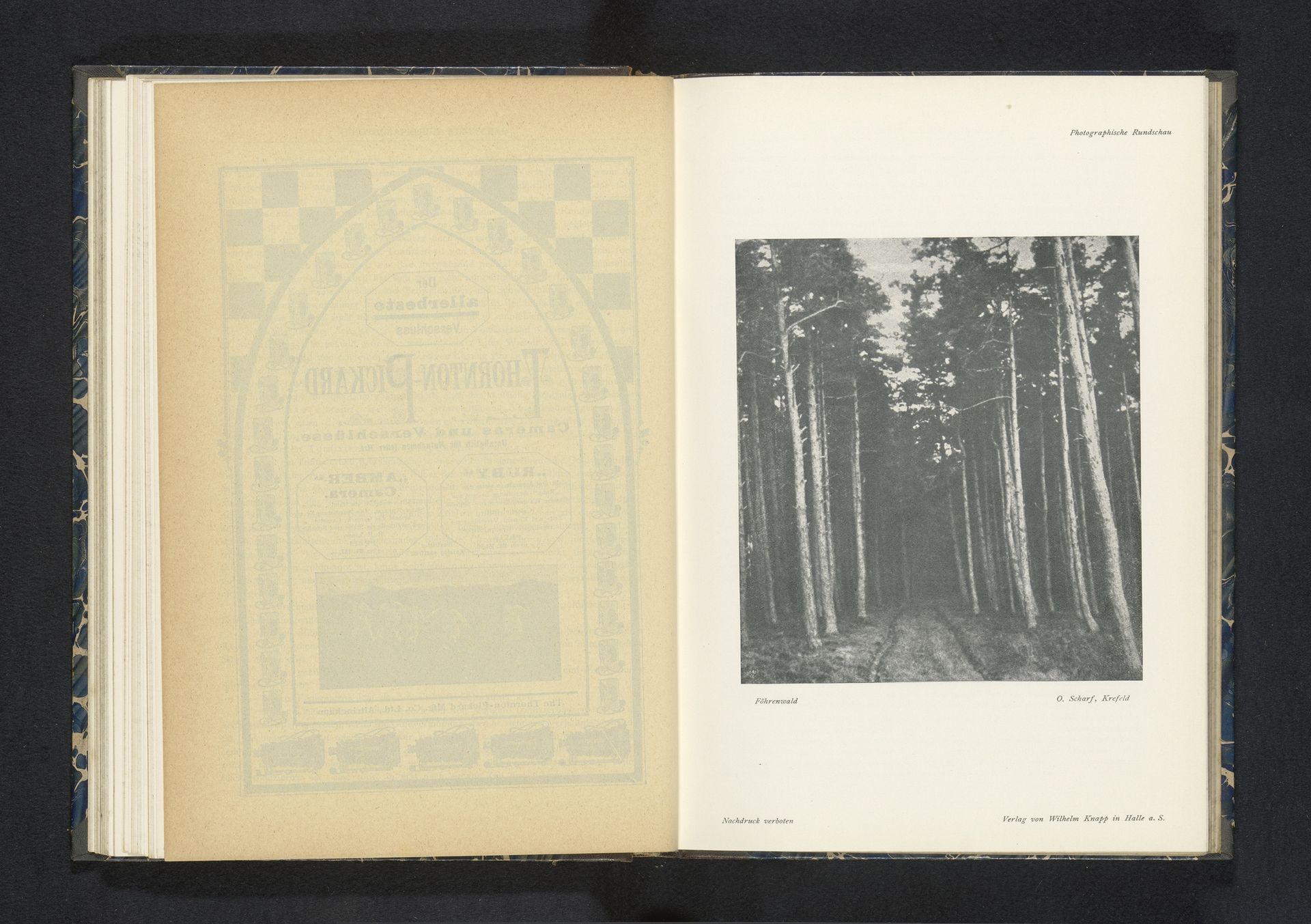 Landweg in het bos by Otto Scharf