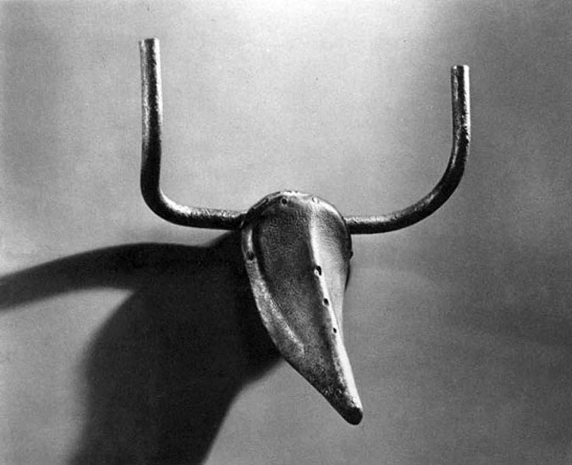 Bull's Head by Pablo Picasso
