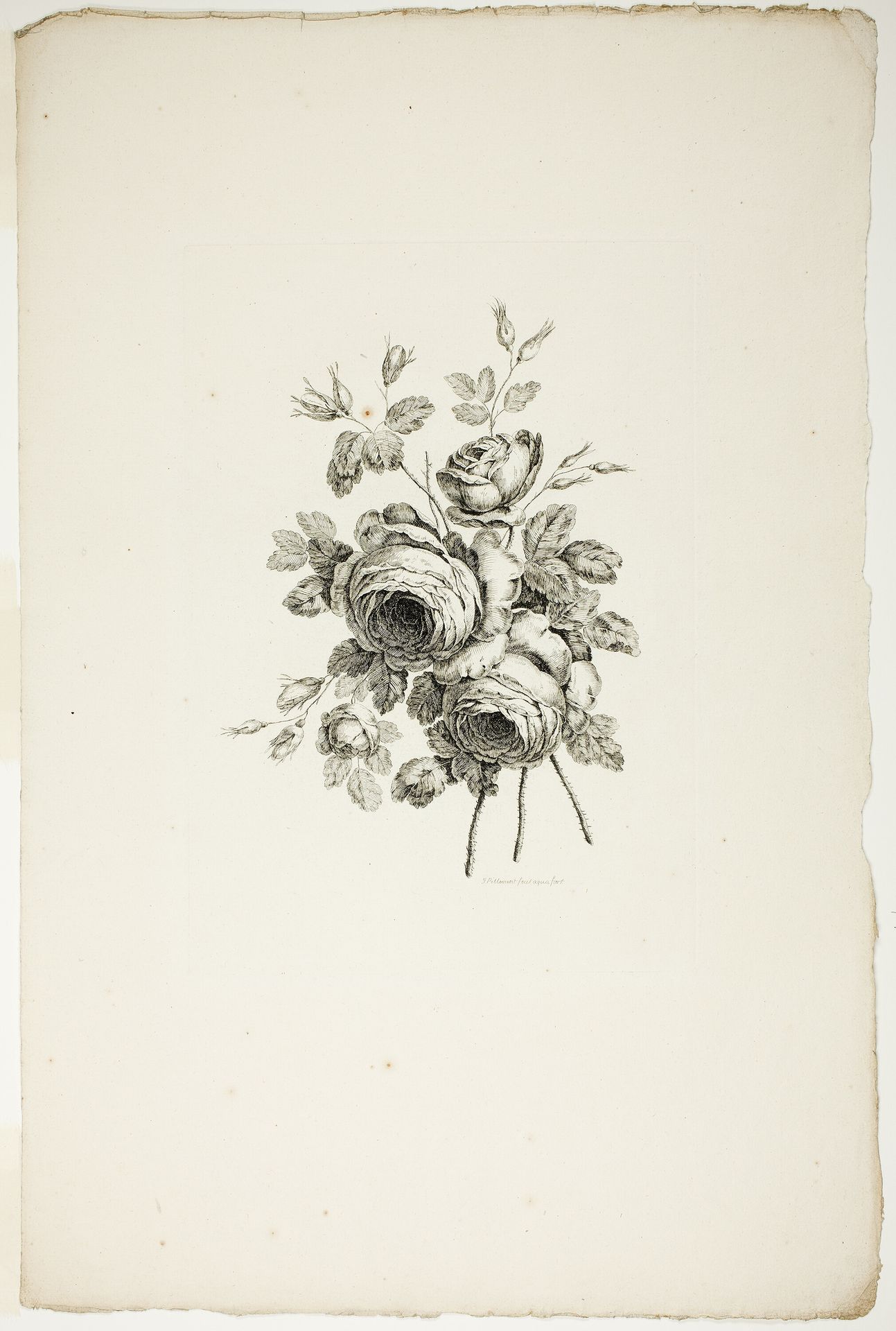 Bouquet with Roses, from Collection of Different Bouquets of Flowers, Invented and Drawn by Jean Pillement and Engraved by P. C. Canot by Pierre Charles Canot