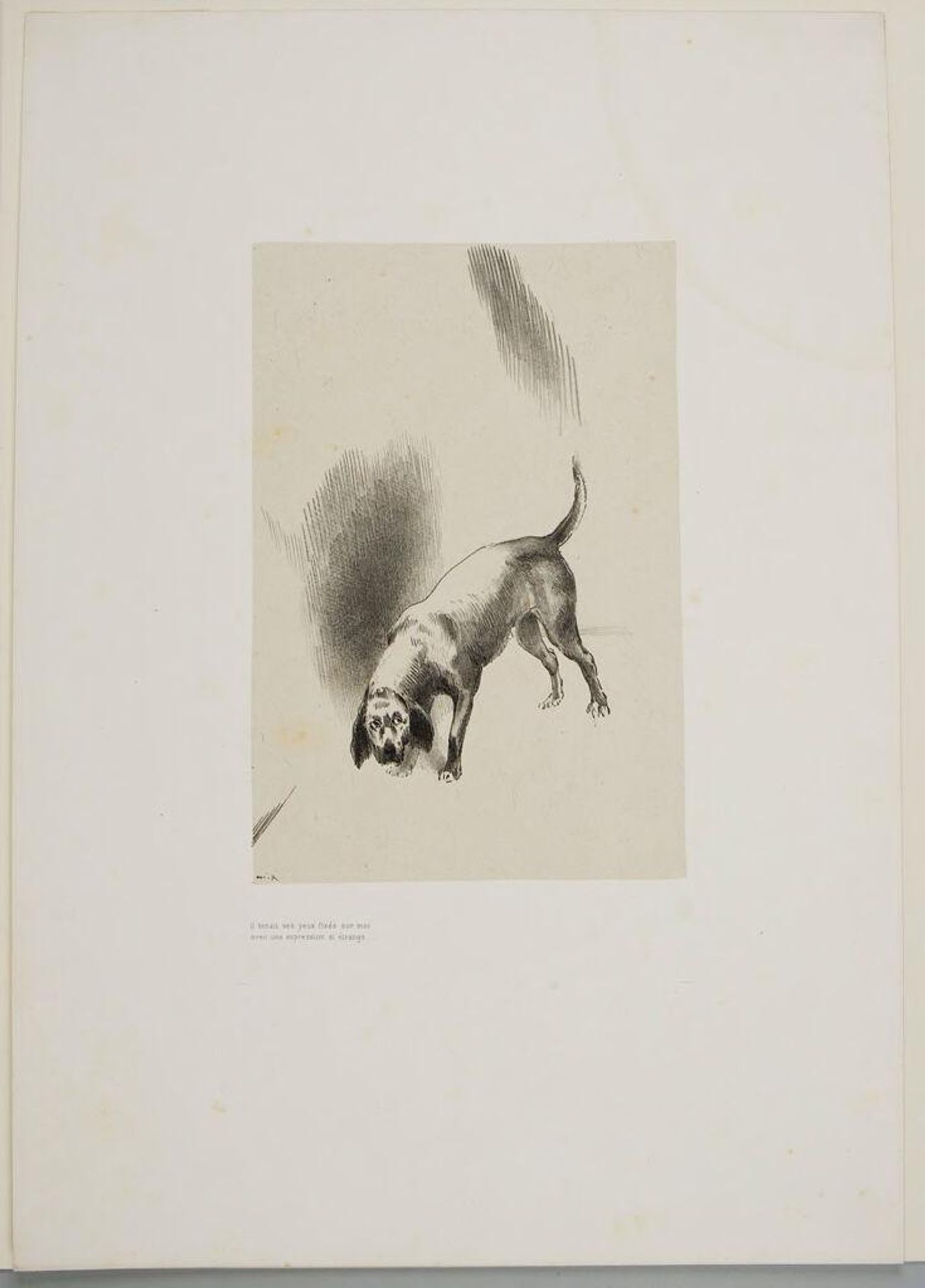 He fixed his gaze on me with a very strange expression by Odilon Redon