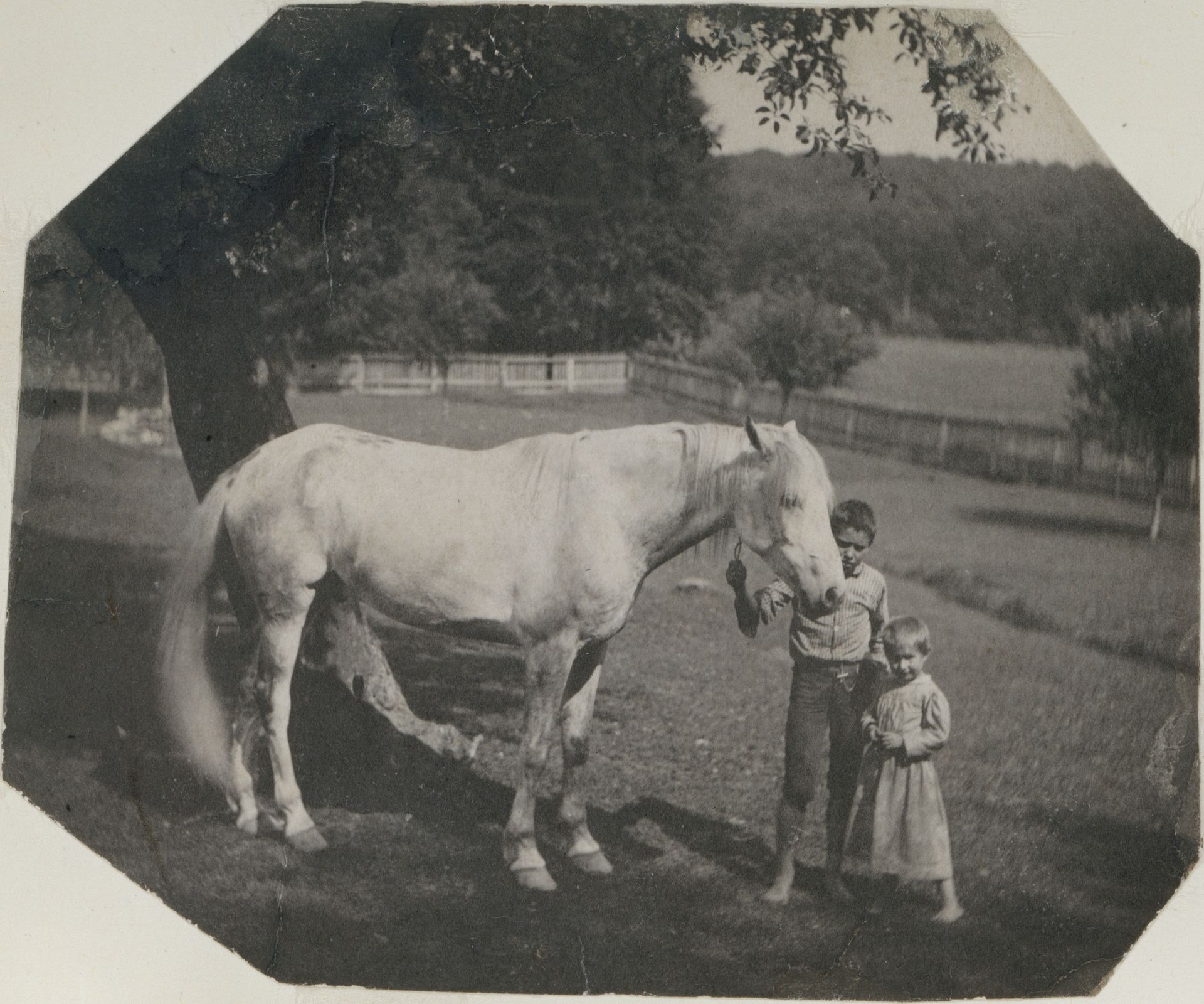 [Thomas Eakins's Horse Billy and Two Crowell Children at Avondale, Pennsylvania] by Thomas Eakins