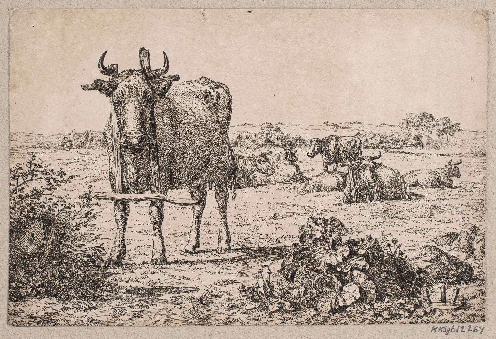 Landskab med køer by Madsen, A.P.