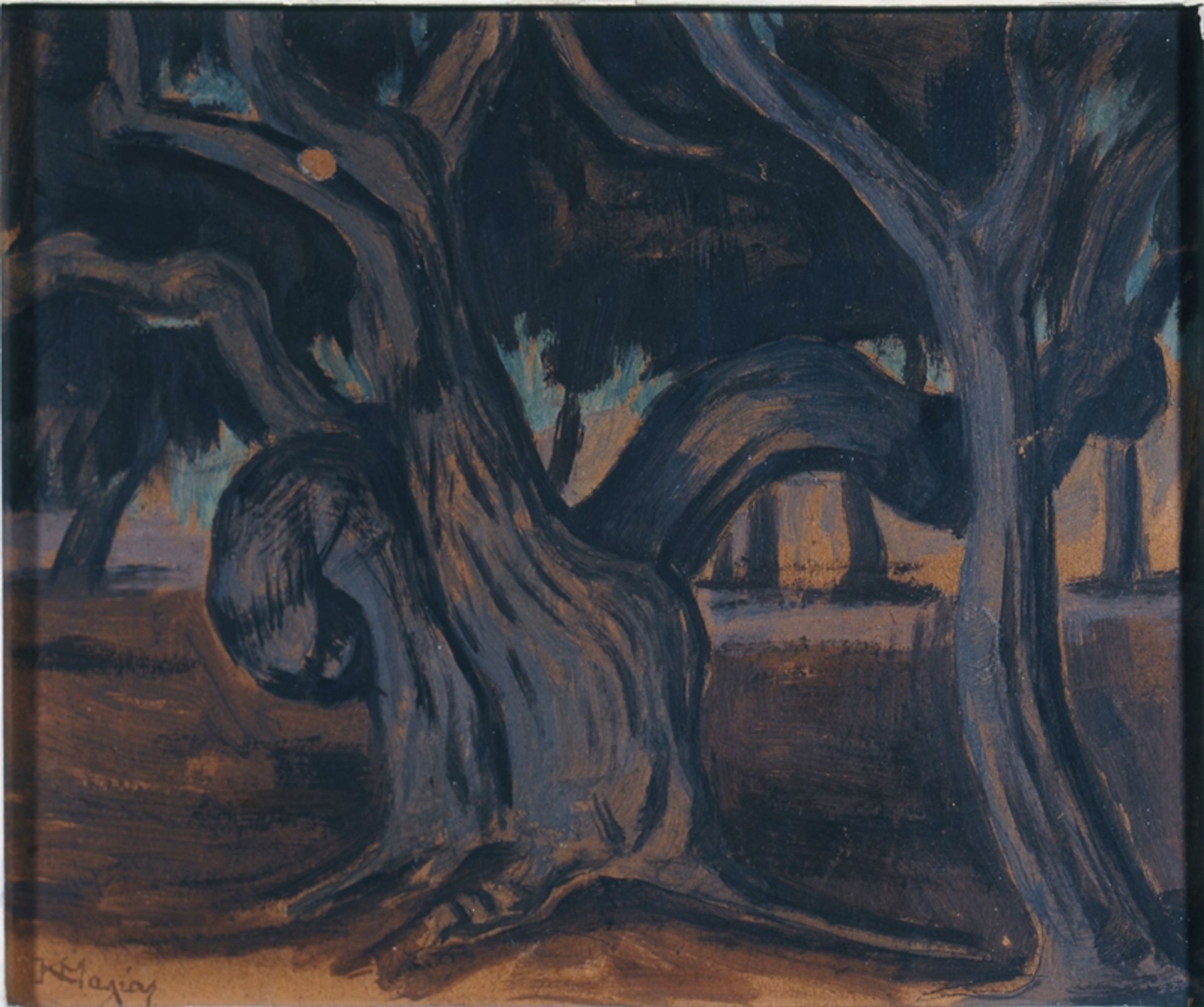 Olive trees by Konstantinos Maleas