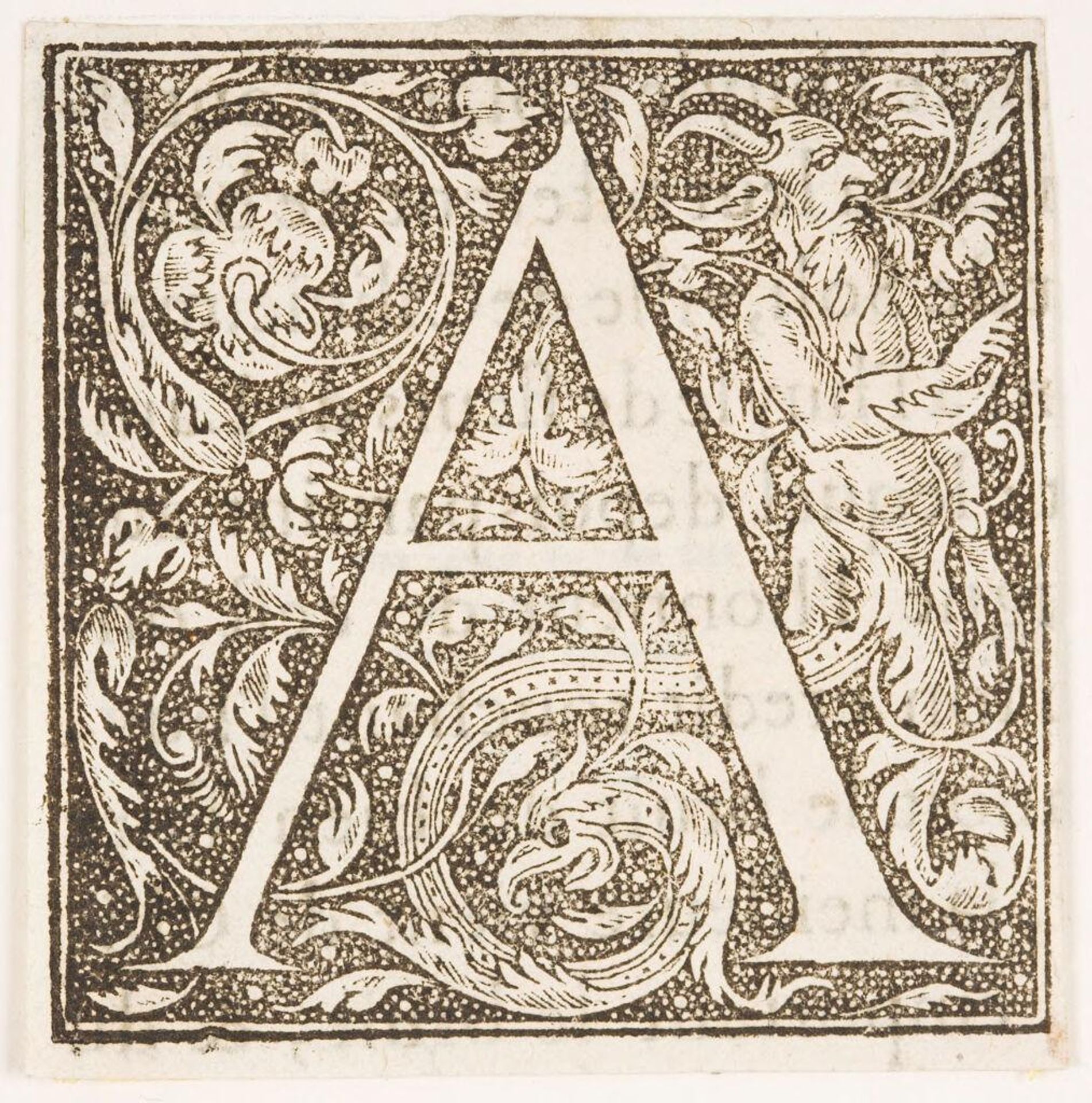 Letter A by Anonymous