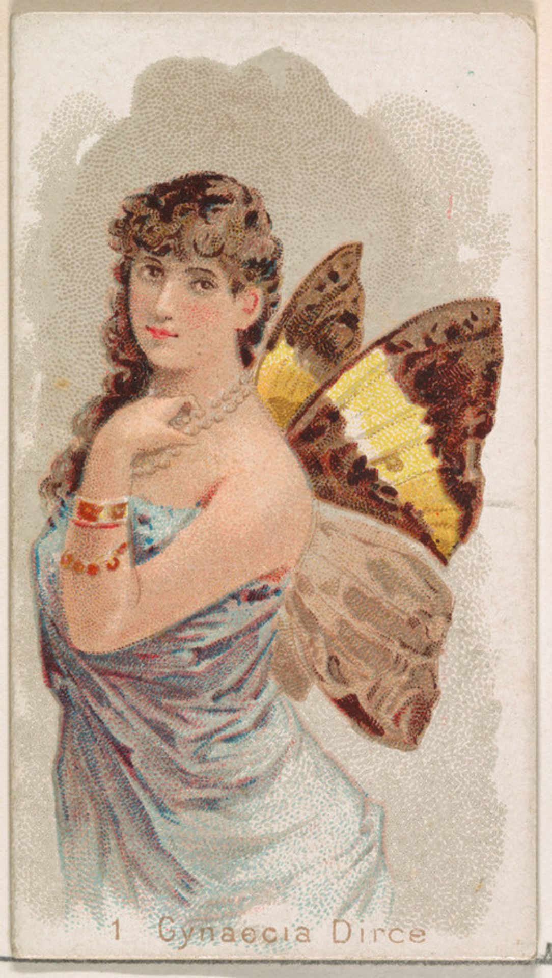 Card 1, Gynaecia Dirce, from the Butterflies series (N183) issued by Wm. S. Kimball & Co. by William S. Kimball & Company