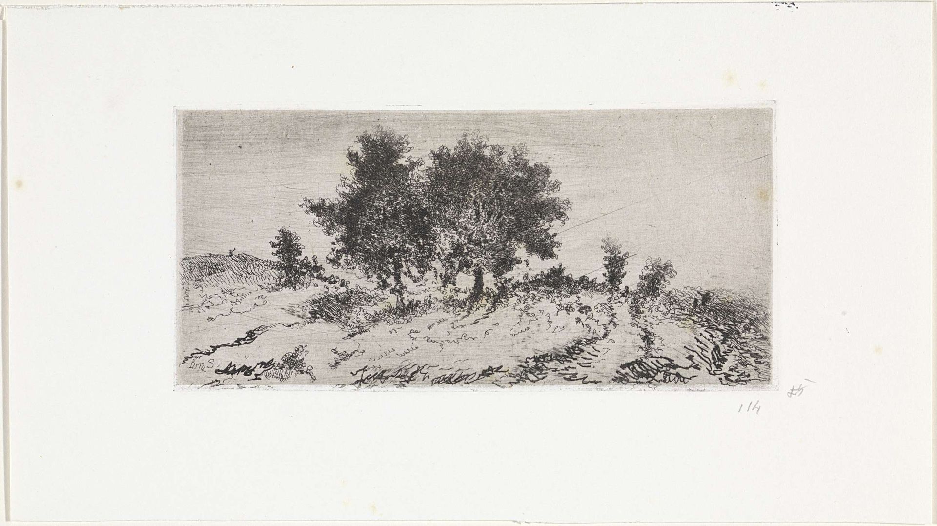 Landschap met bomengroep by Arnoud Schaepkens