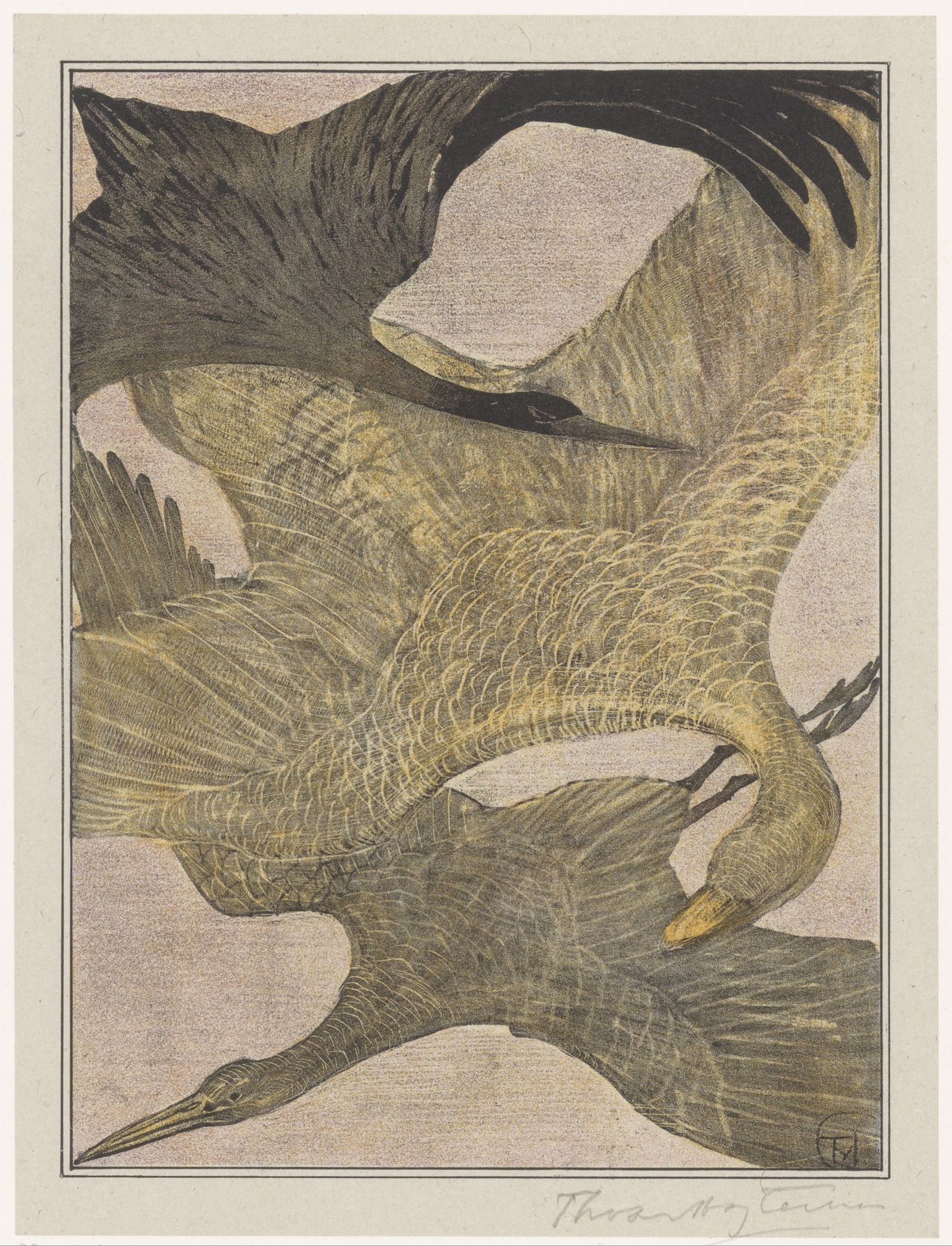 Drie vliegende vogels by Theo van Hoytema
