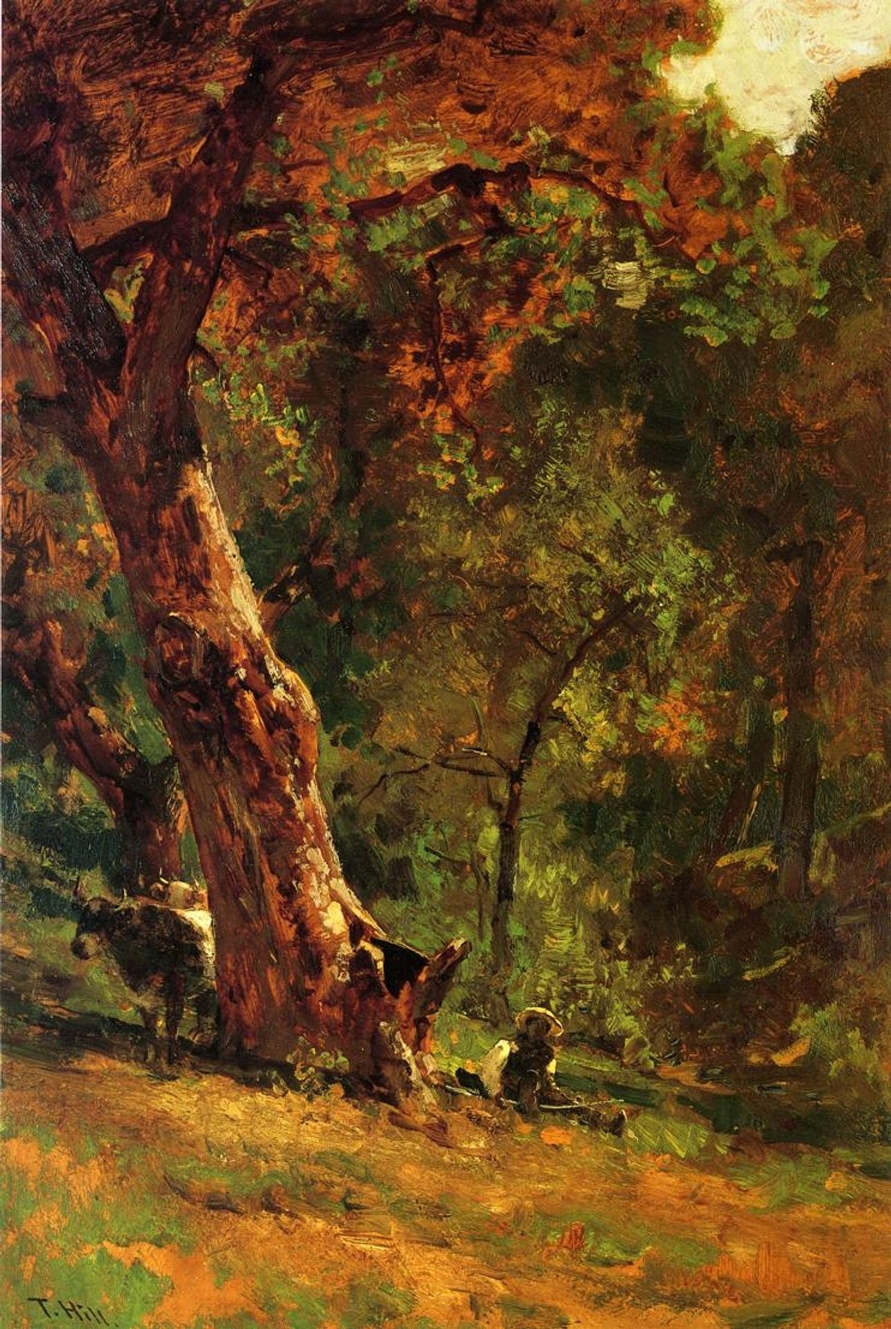 Chinese Man Tending Cattle by Thomas Hill