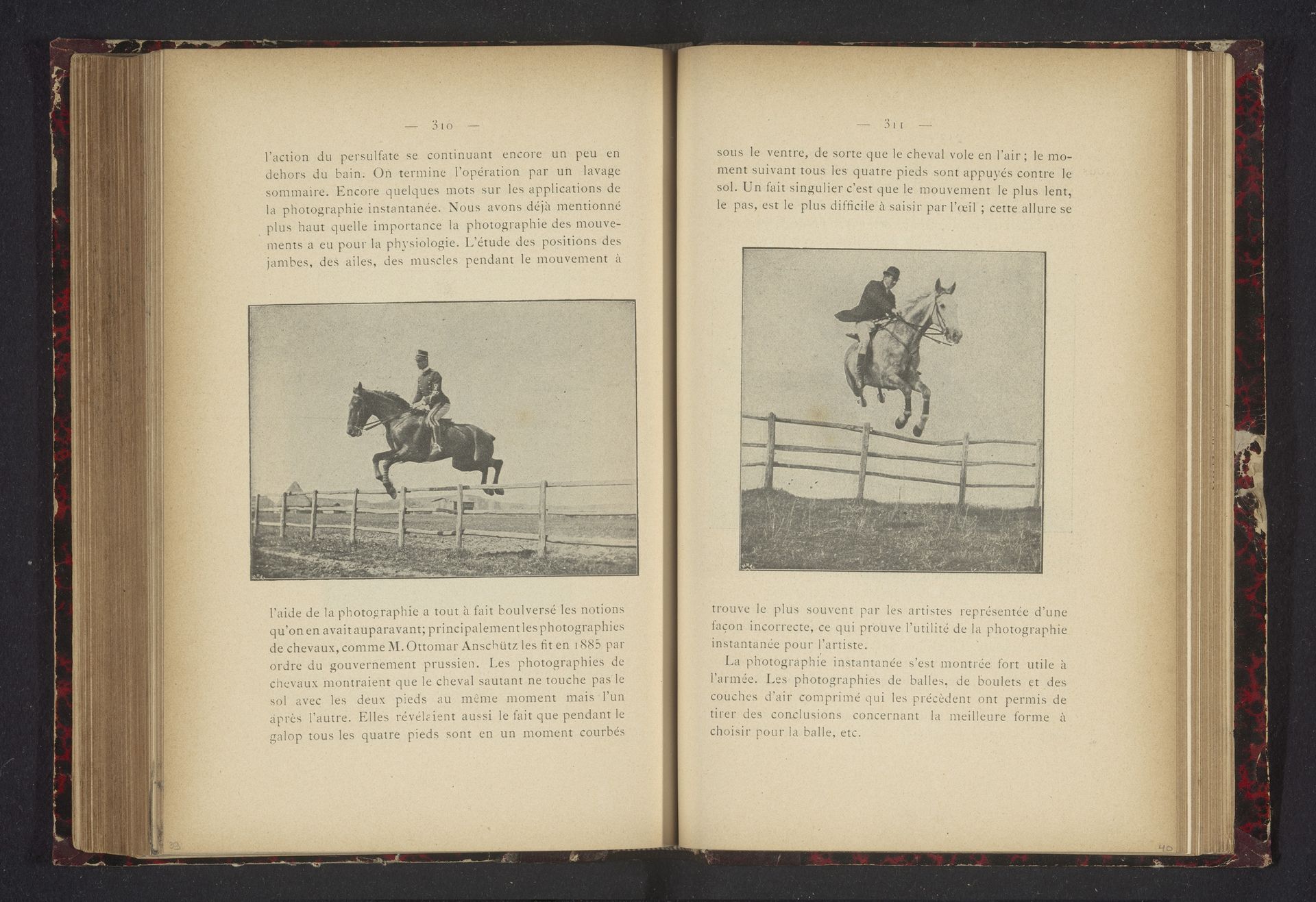 Paard met ruiter springt over een hek by Anonymous