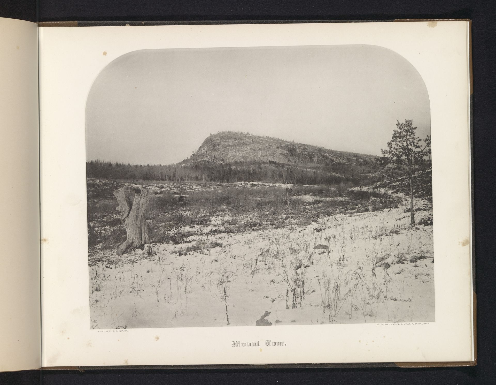 Mount Tom by M.P. Warner