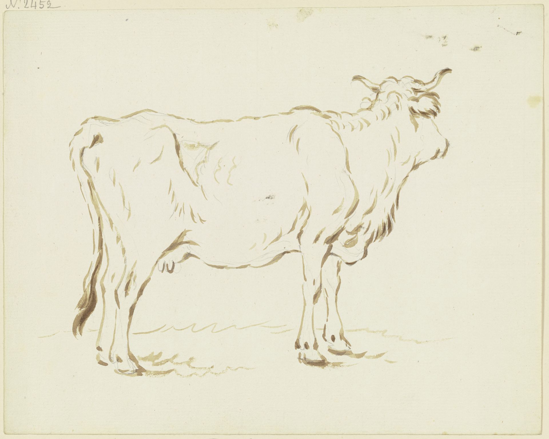Stehende Kuh im verlorenen Profil nach rechts by Friedrich Wilhelm Hirt