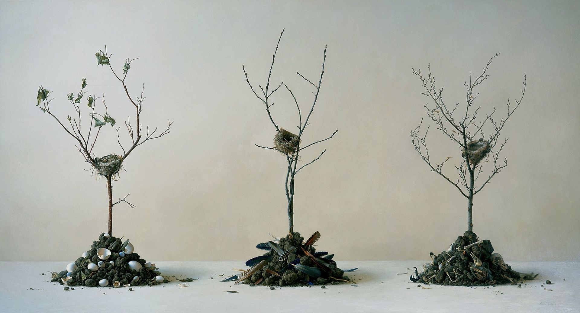 Lifecycle II by Scott Fraser