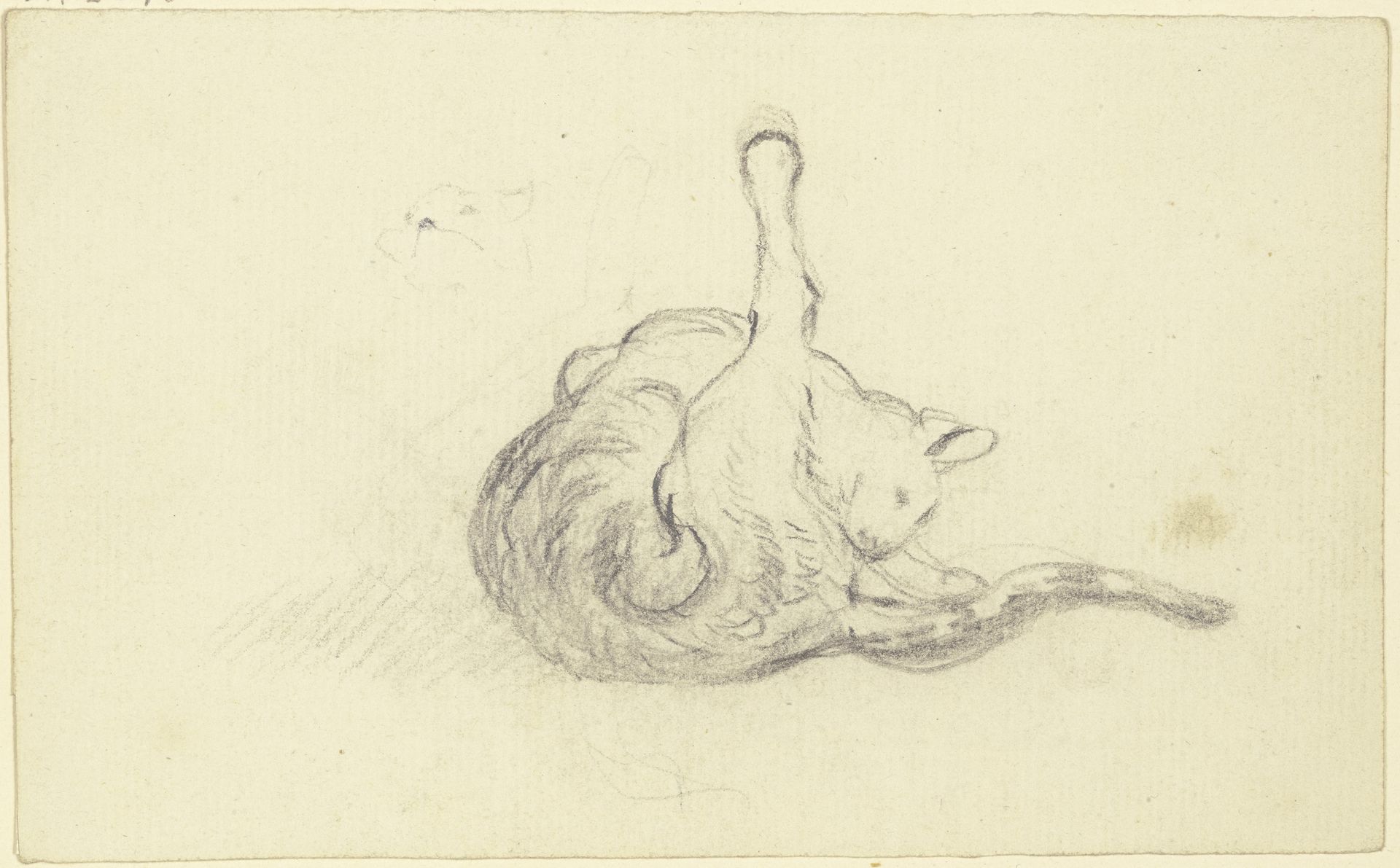 Grooming cat by Friedrich Wilhelm Hirt